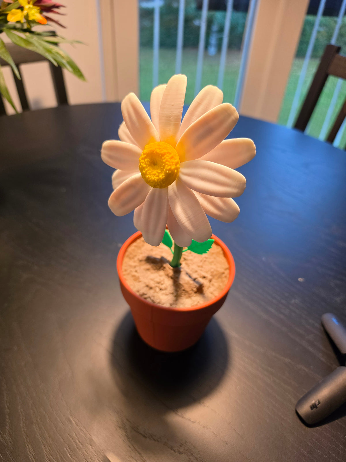 Daisy Date
