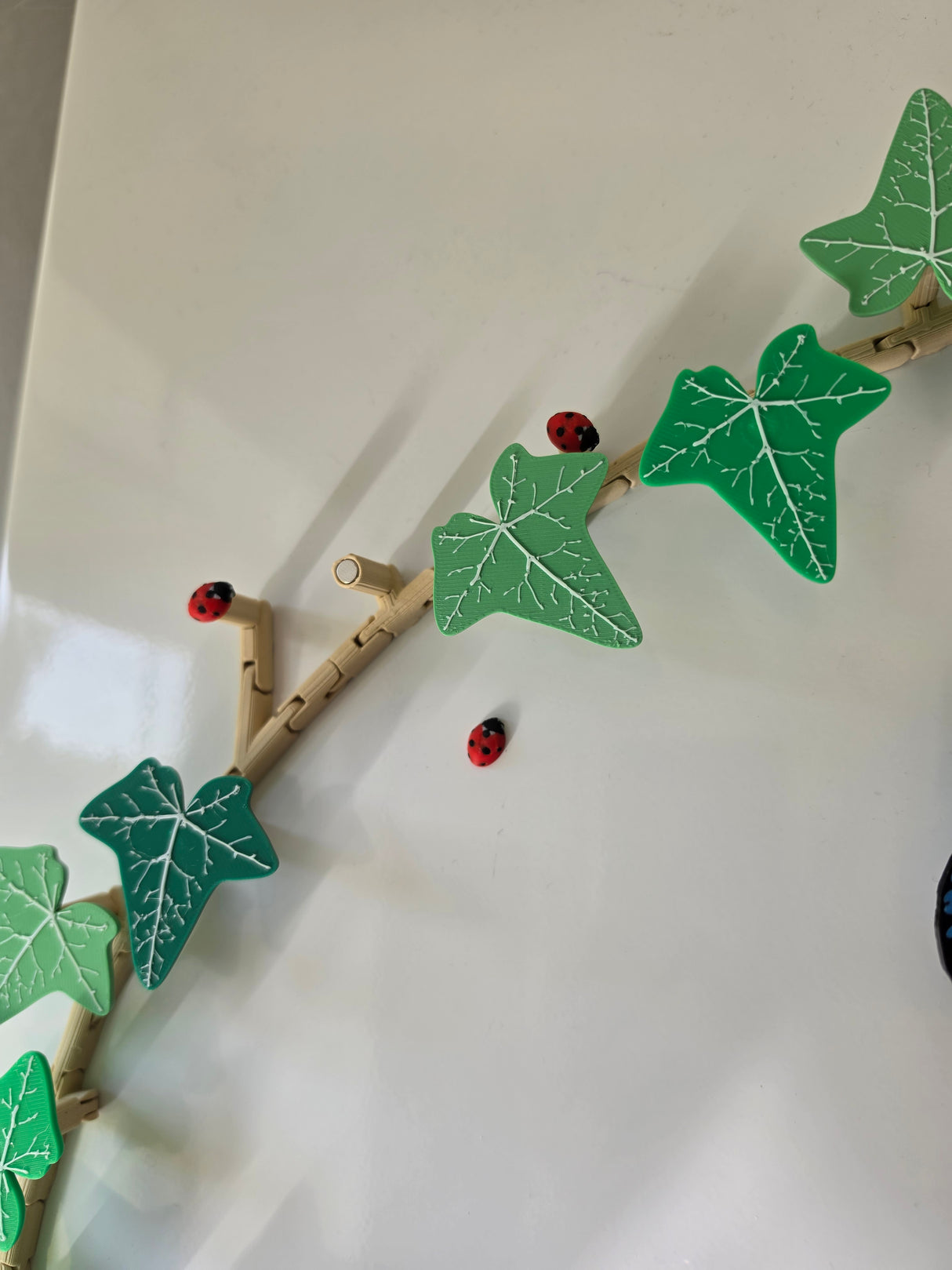 Botanisk Magnetkrans