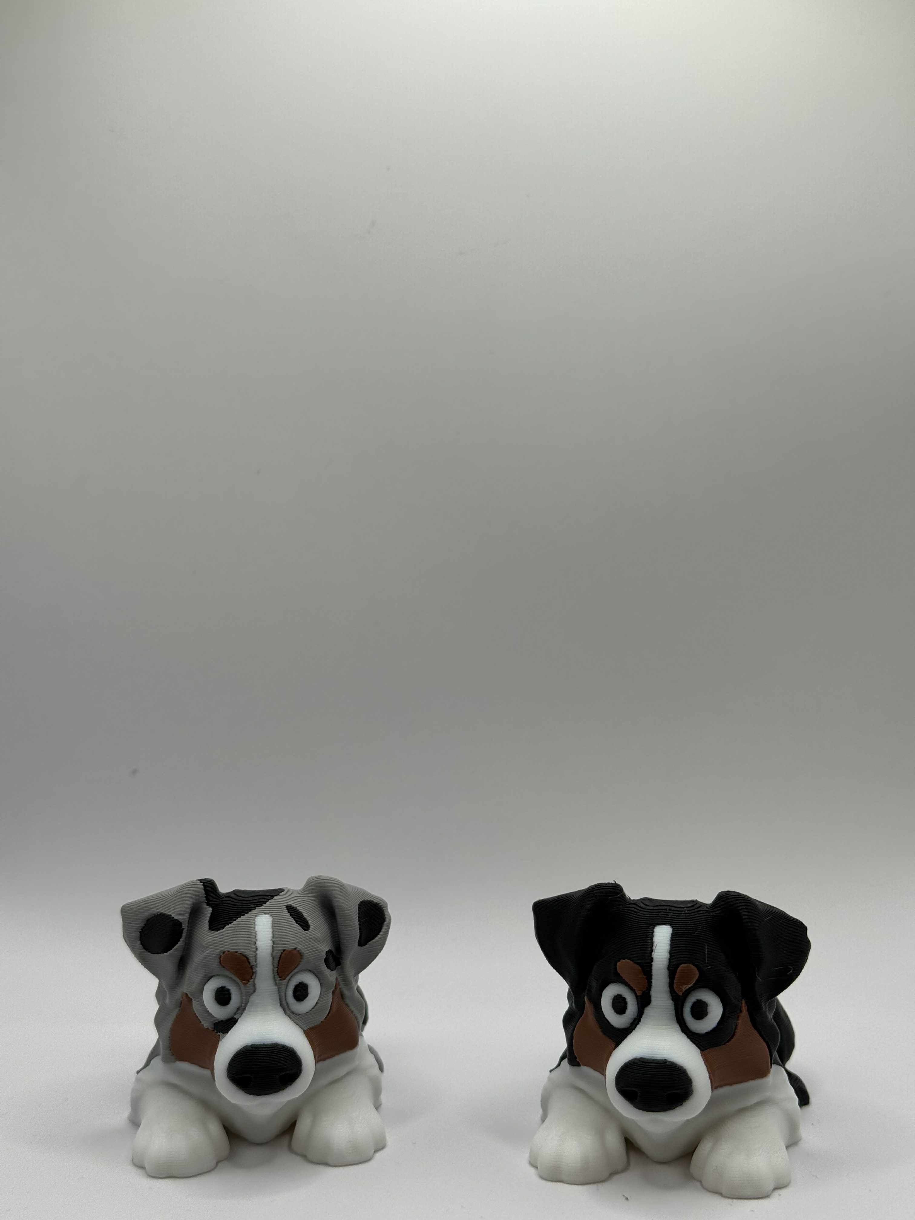 Fleksibel Australian Shepherd