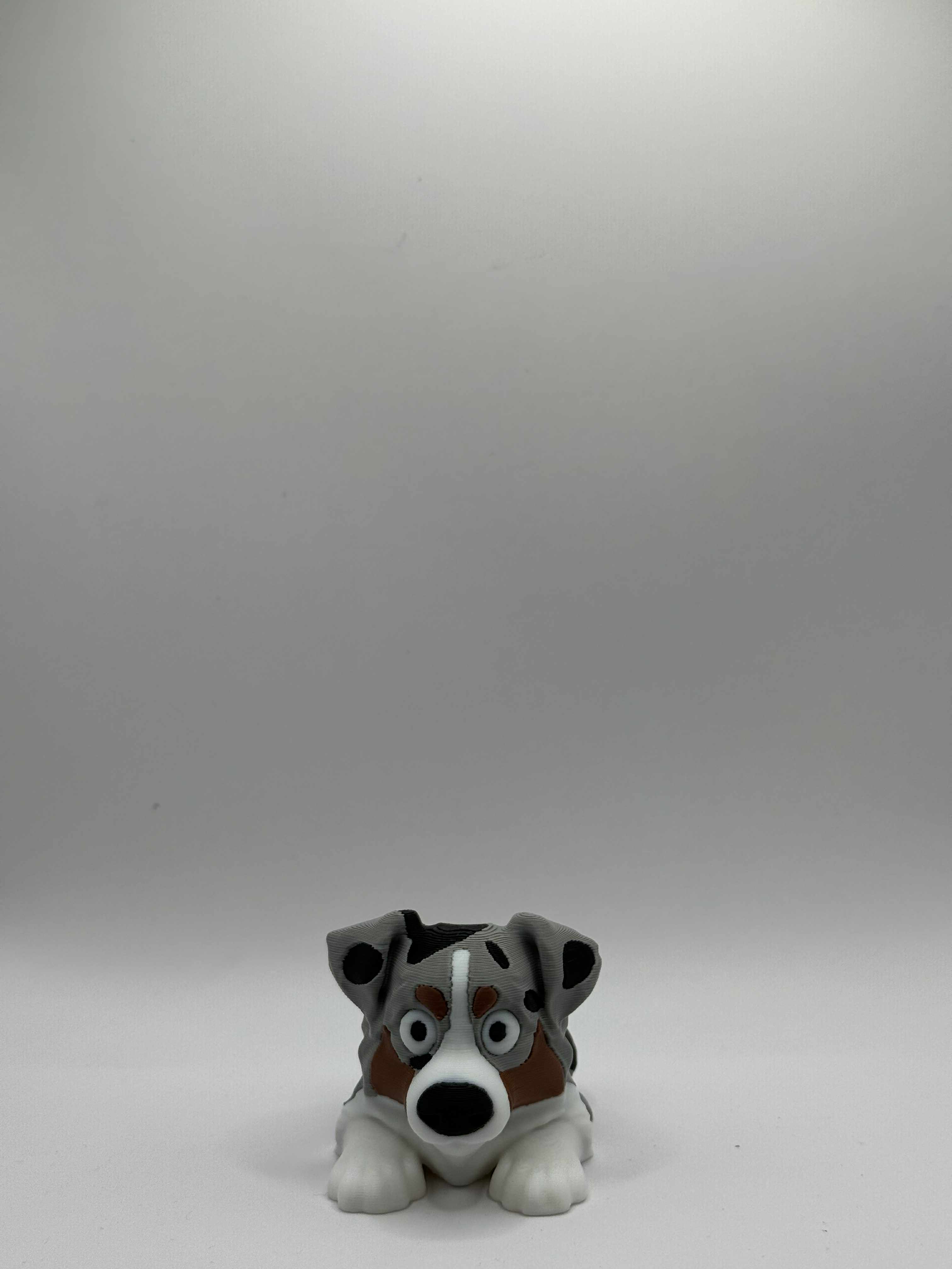 Fleksibel Australian Shepherd