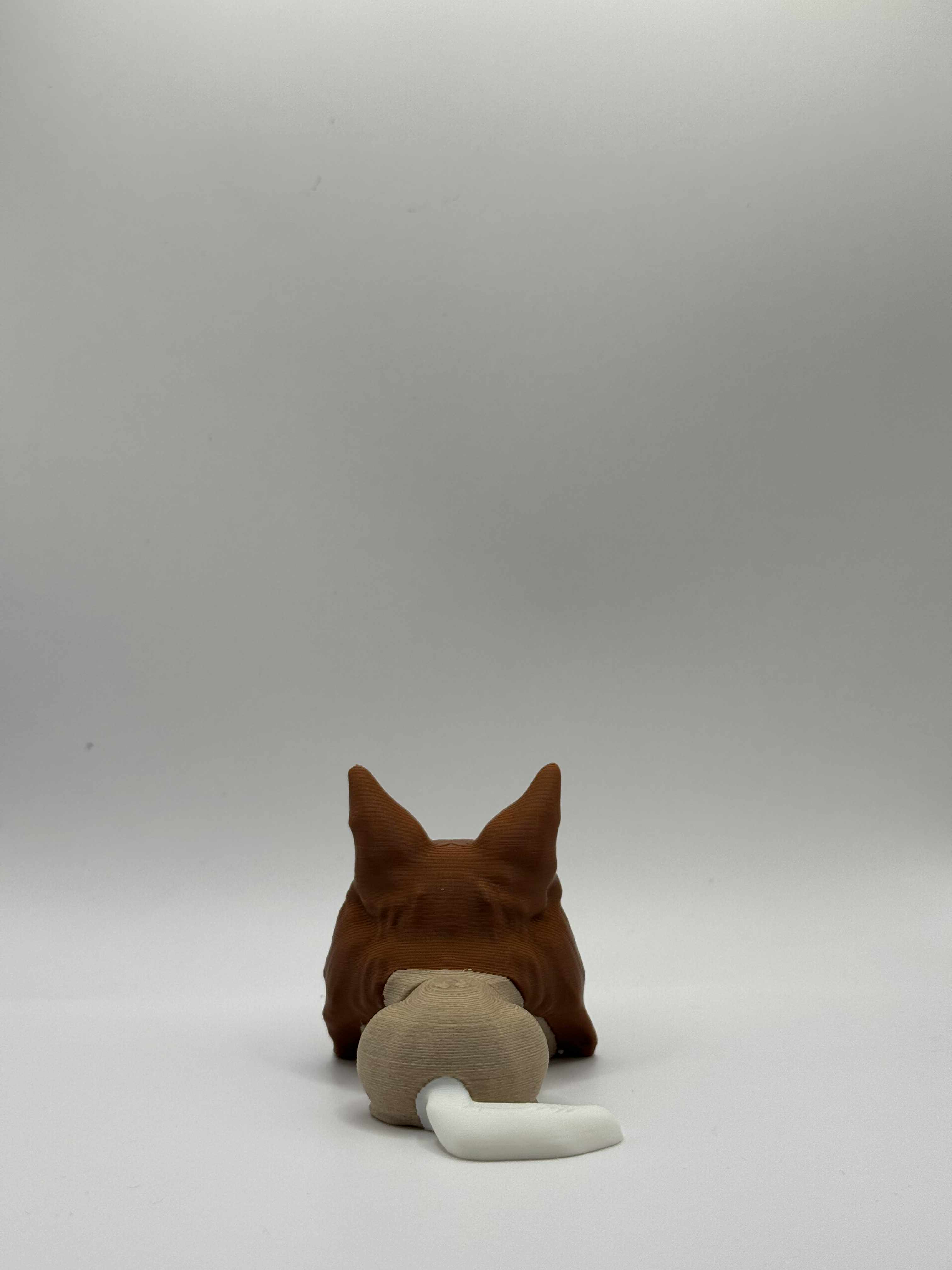 Shetland Sheepdog bagfra