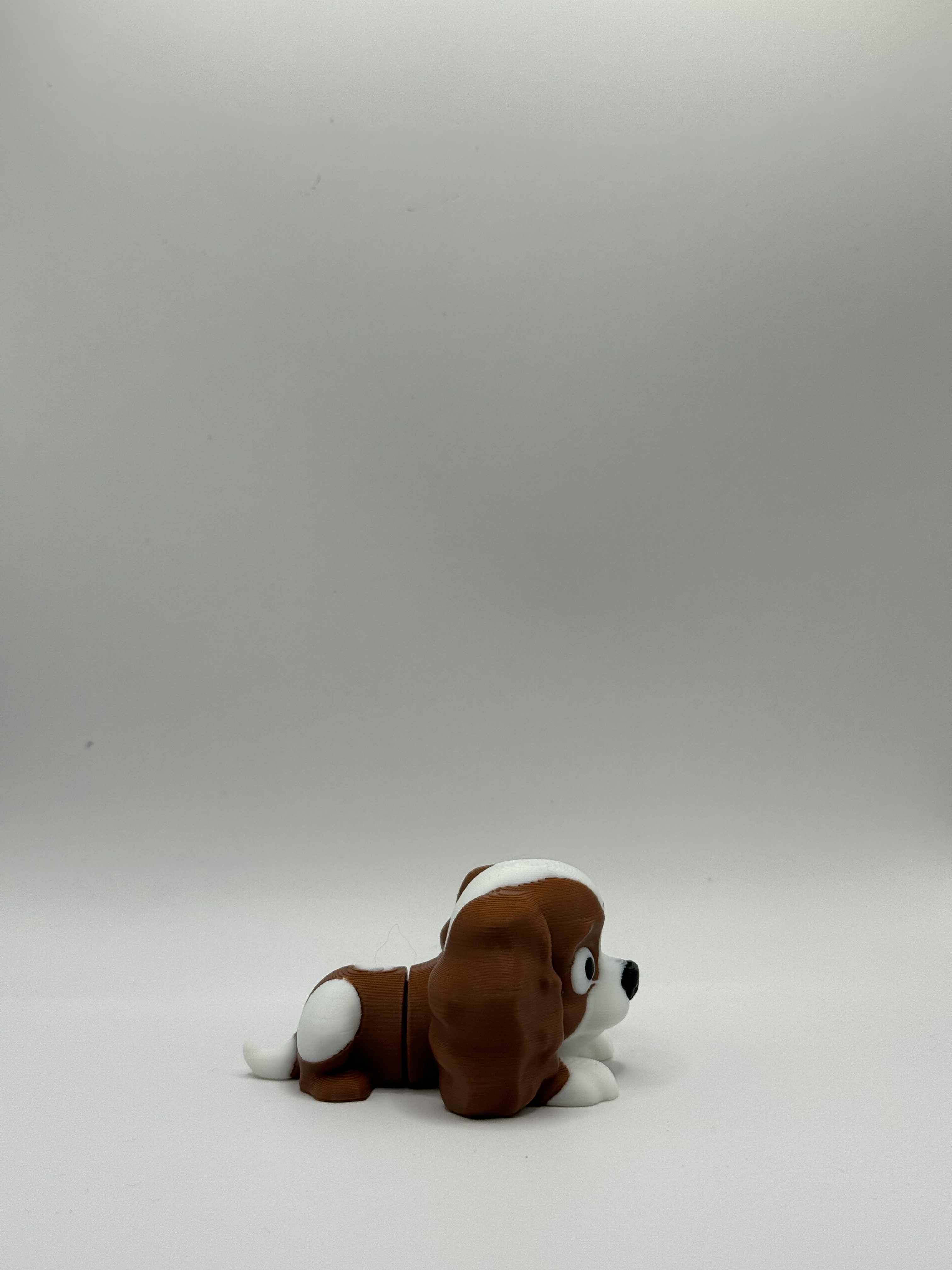 Fleksibel Cavalier King Charles Spaniel