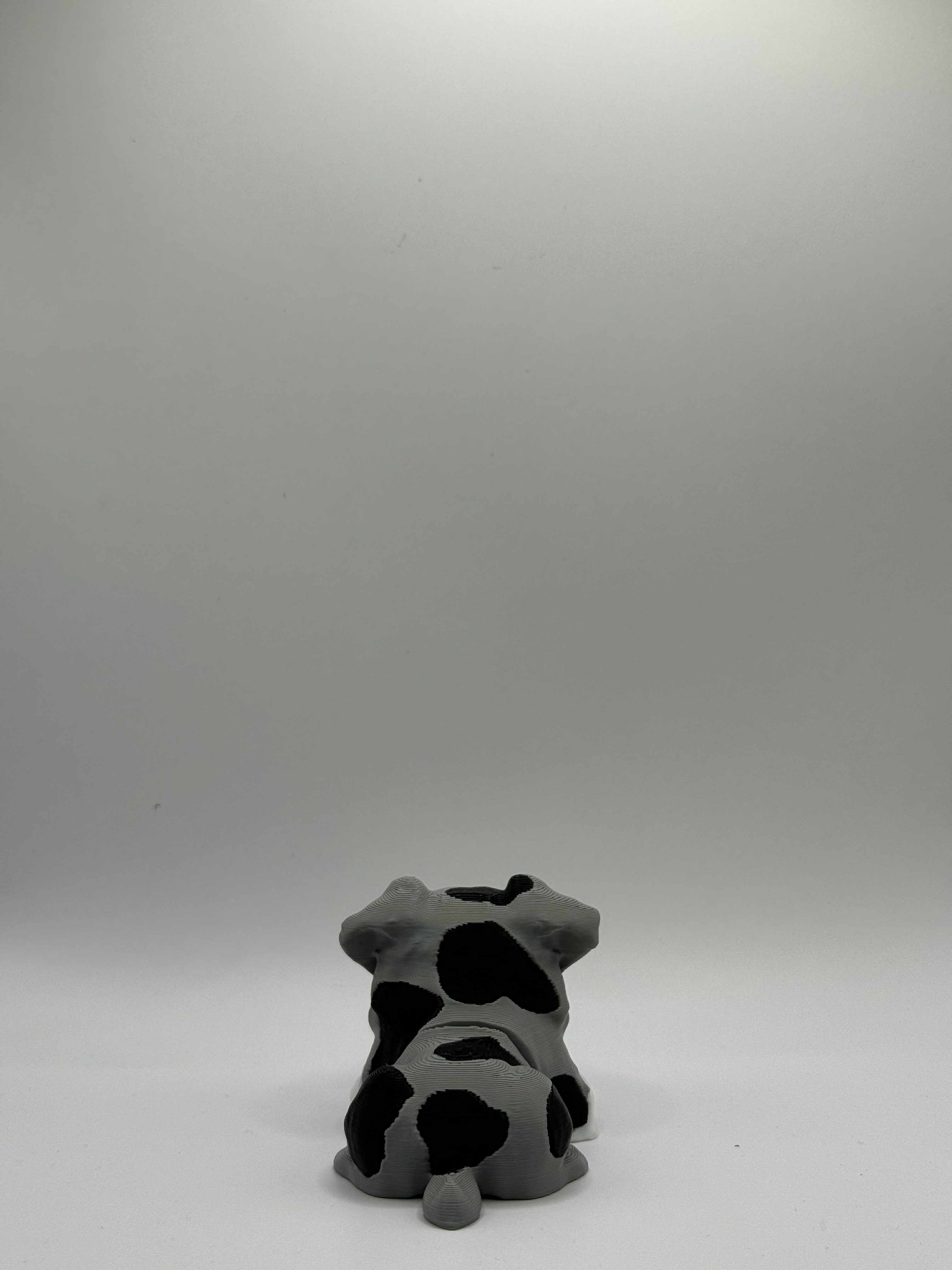 Fleksibel Australian Shepherd