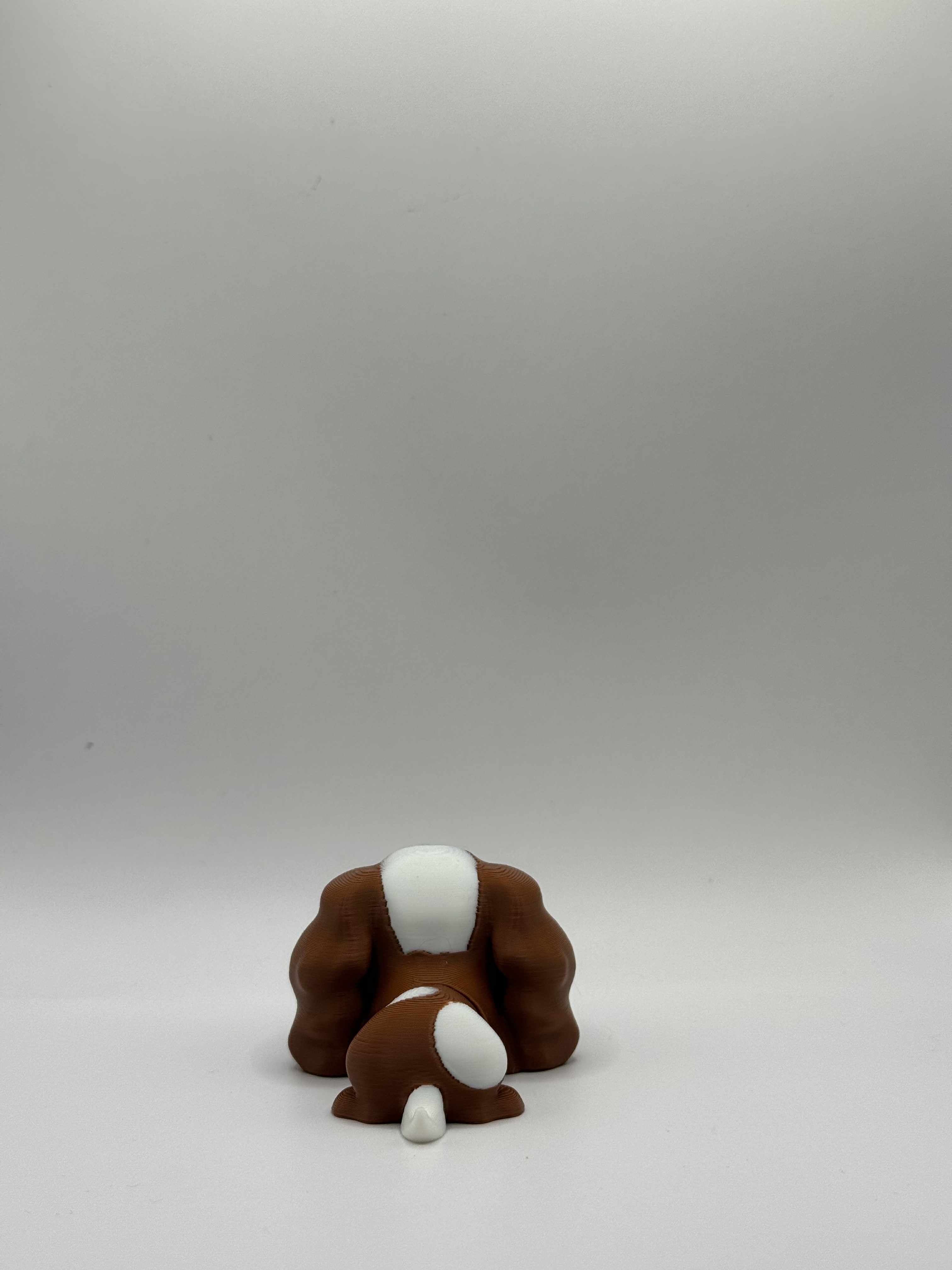 Fleksibel Cavalier King Charles Spaniel