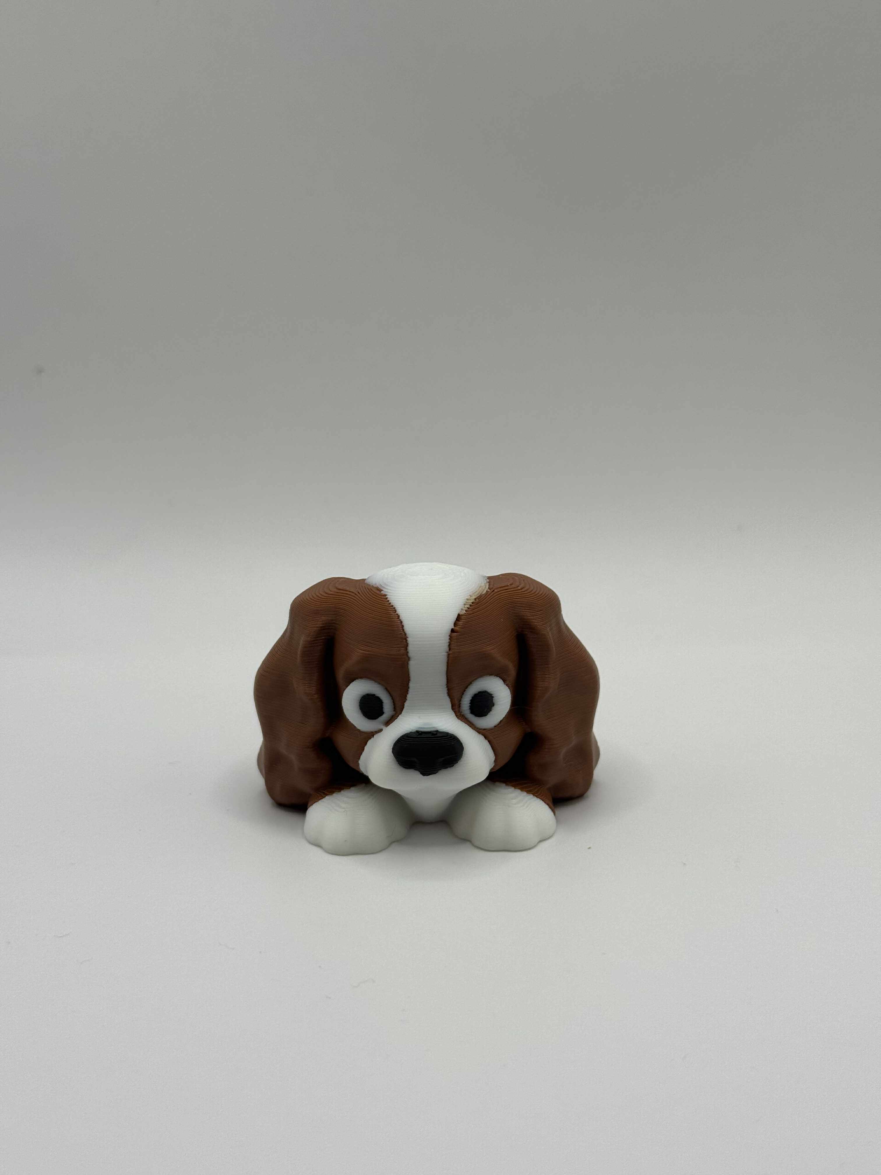 Fleksibel Cavalier King Charles Spaniel