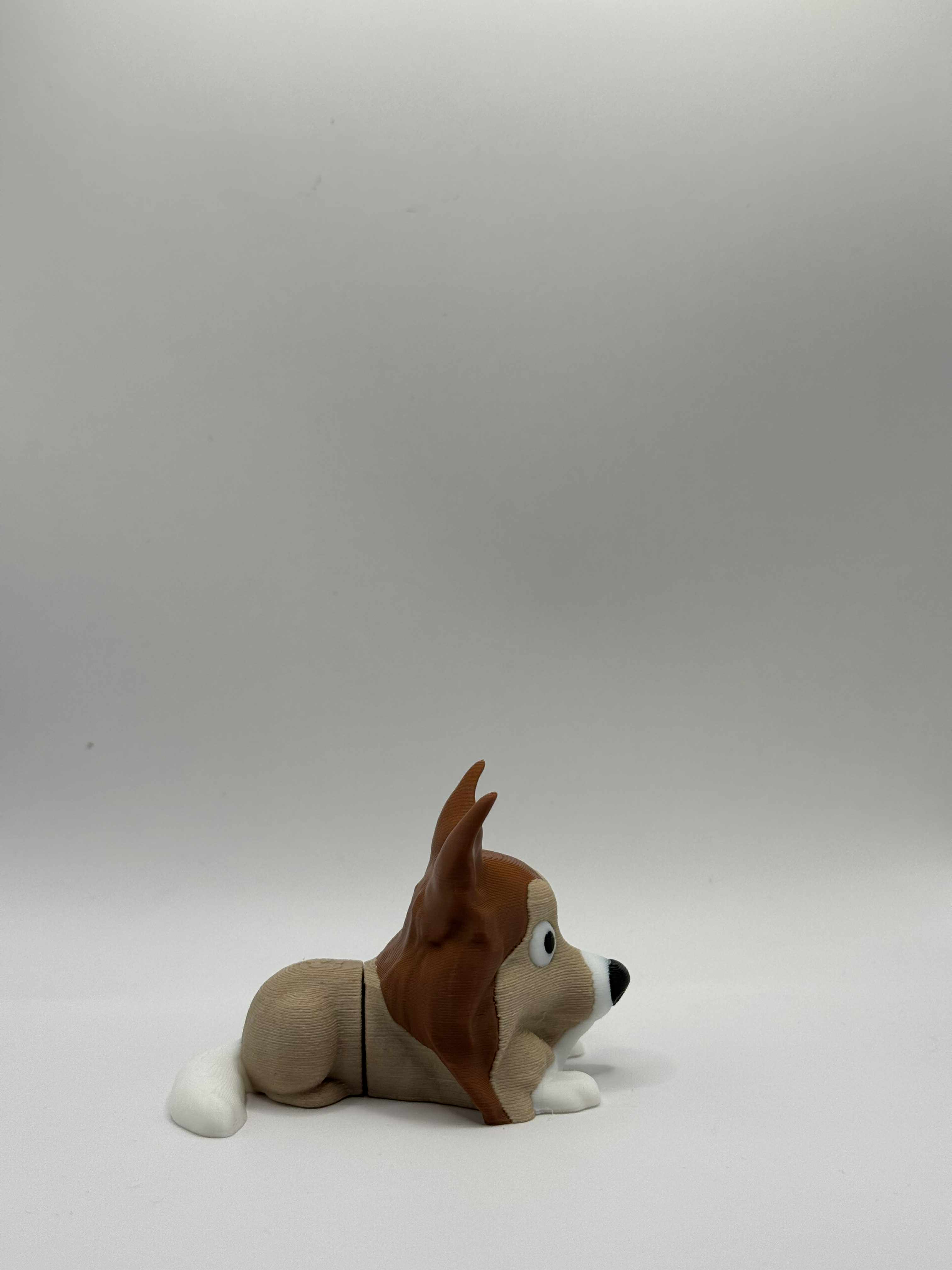 Shetland Sheepdog fra siden