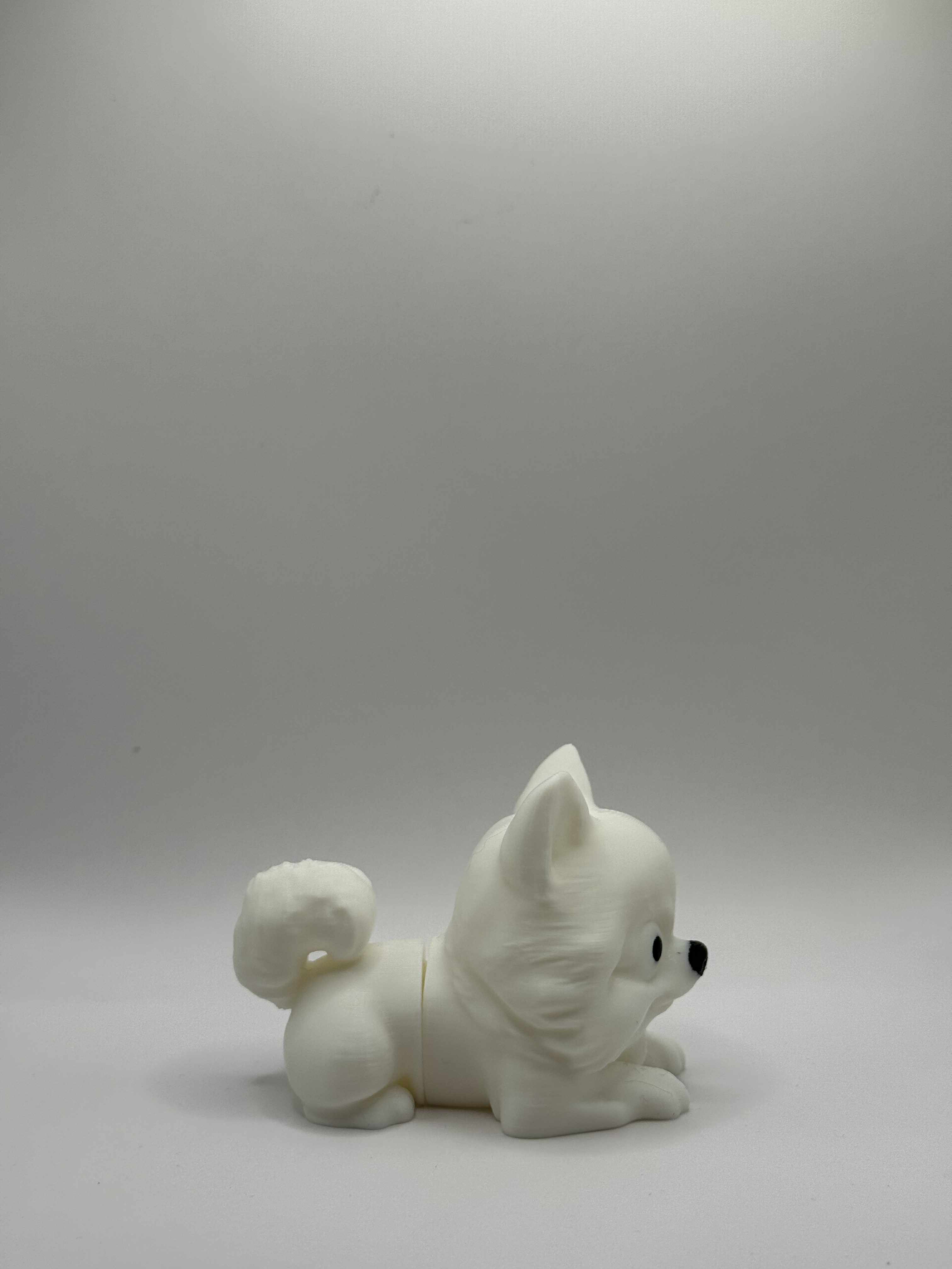 Fleksibel Pomeranian