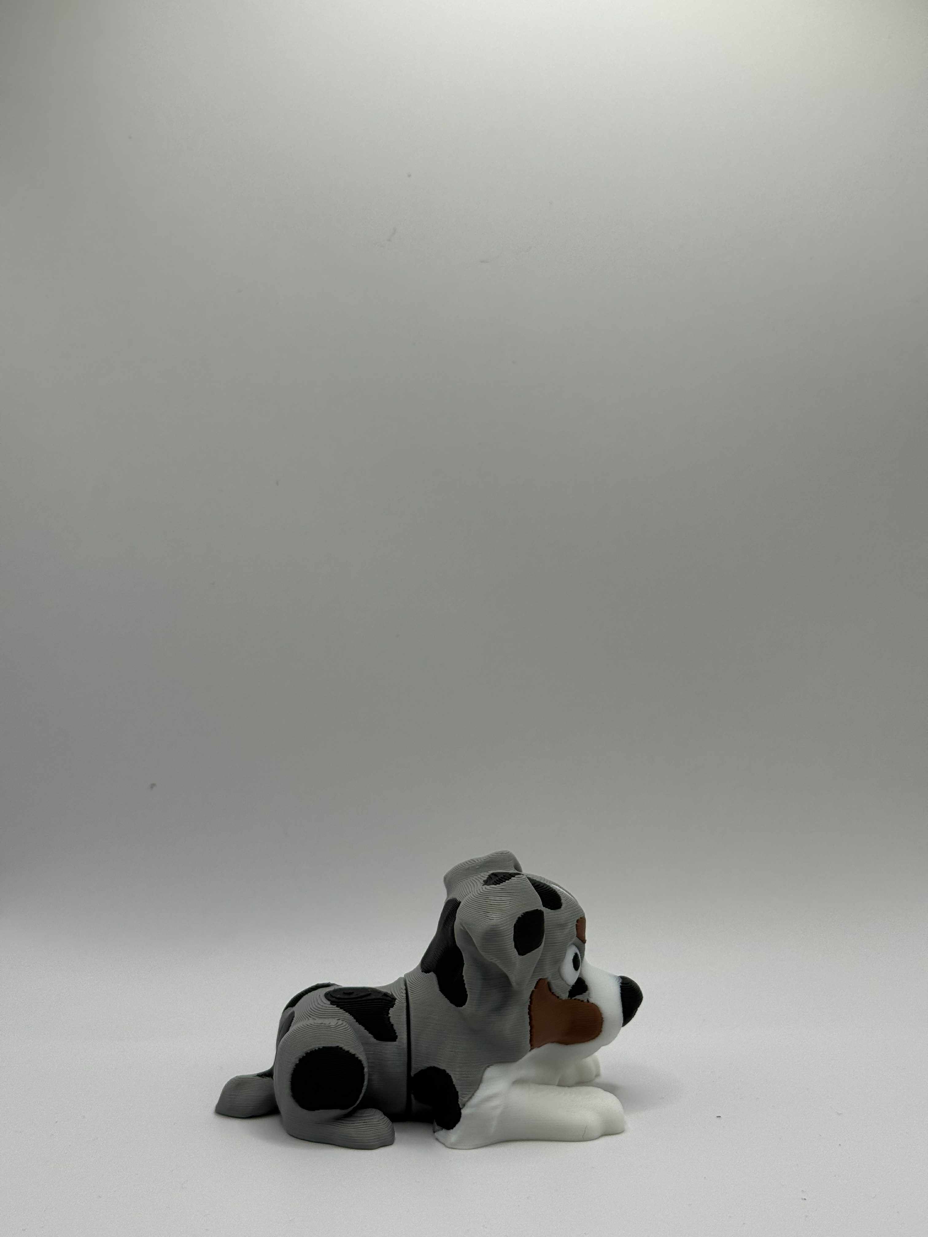 Fleksibel Australian Shepherd