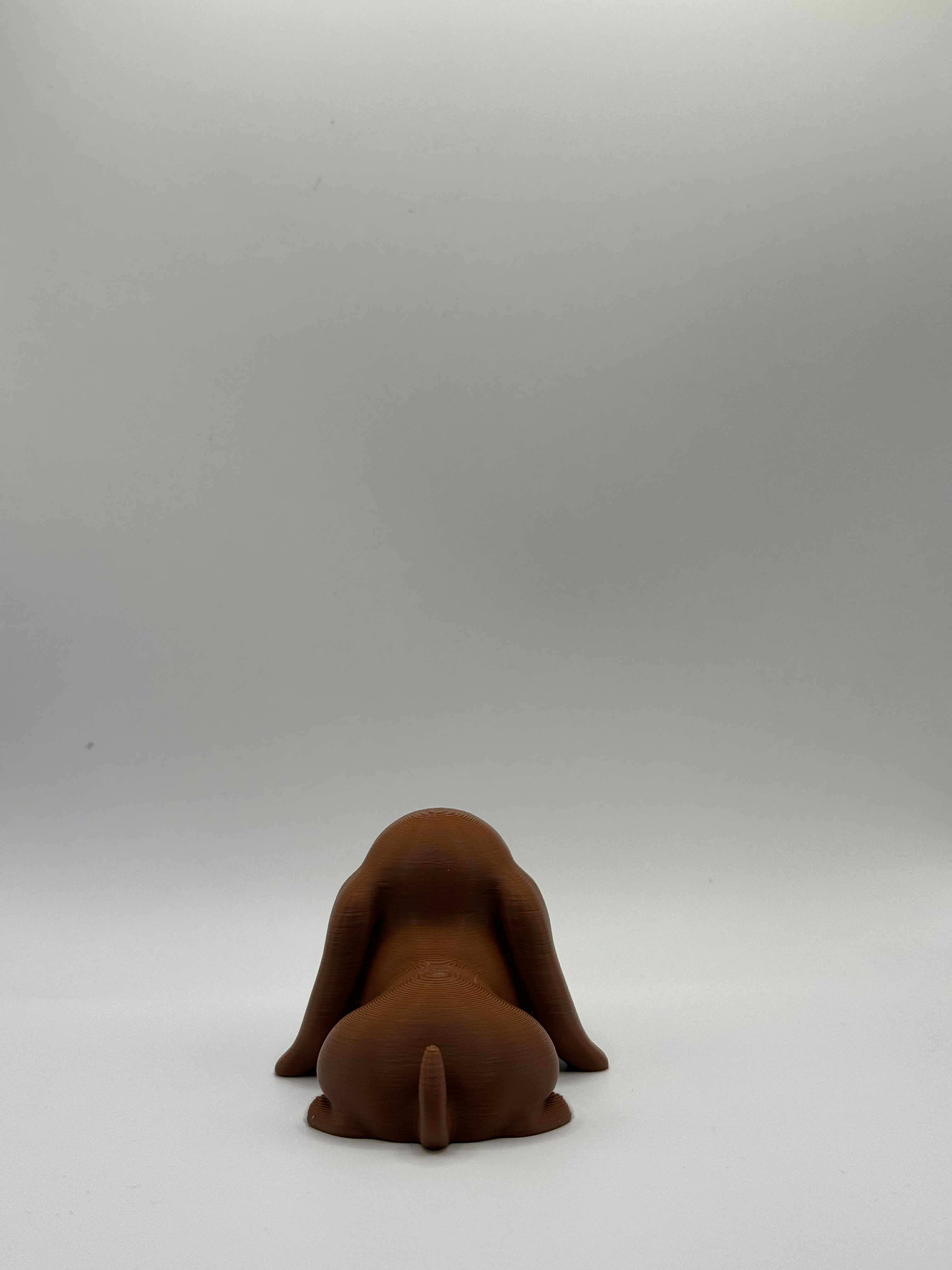 Fleksibel Bassethund