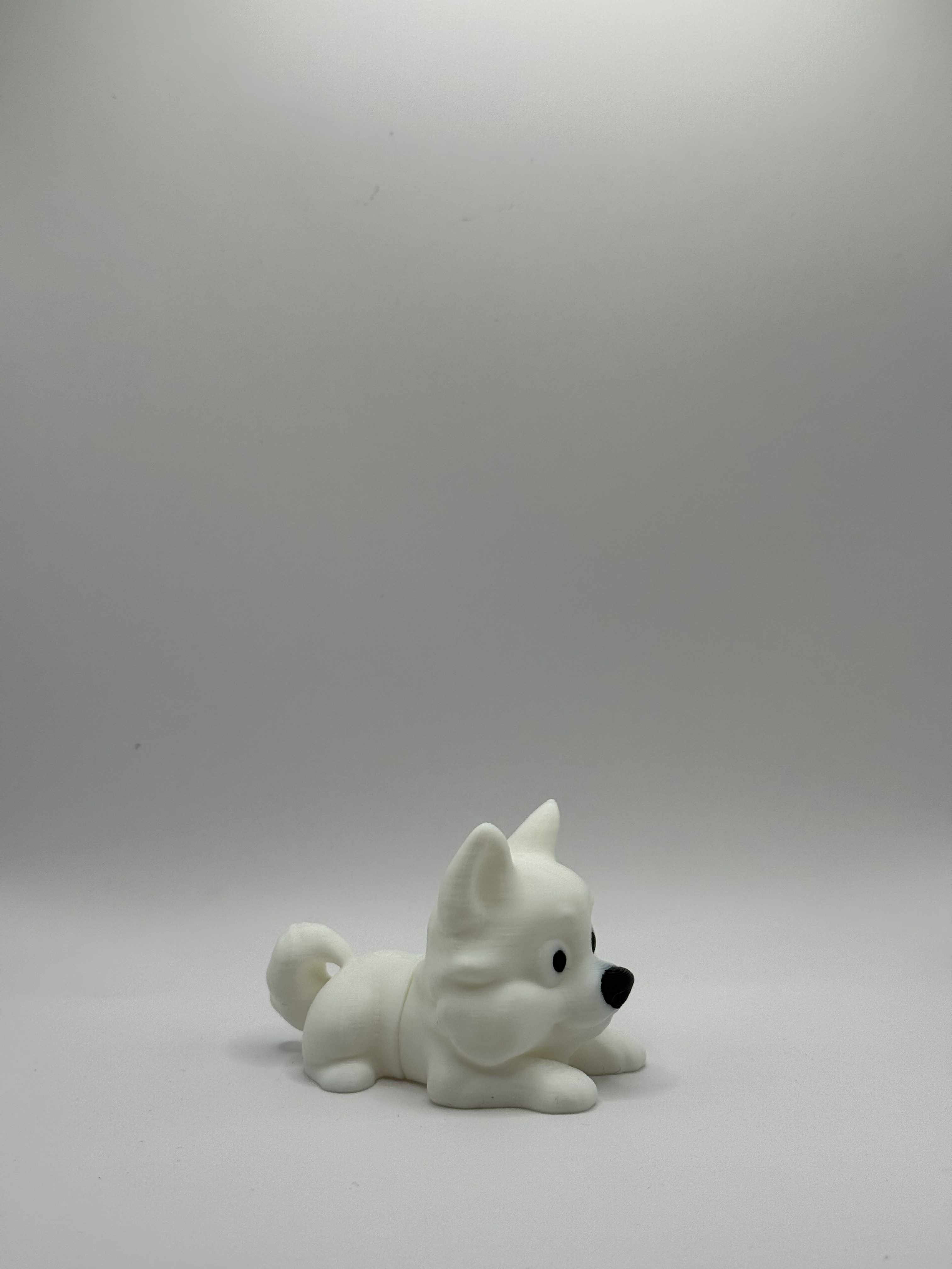 Fleksibel Samojedhund