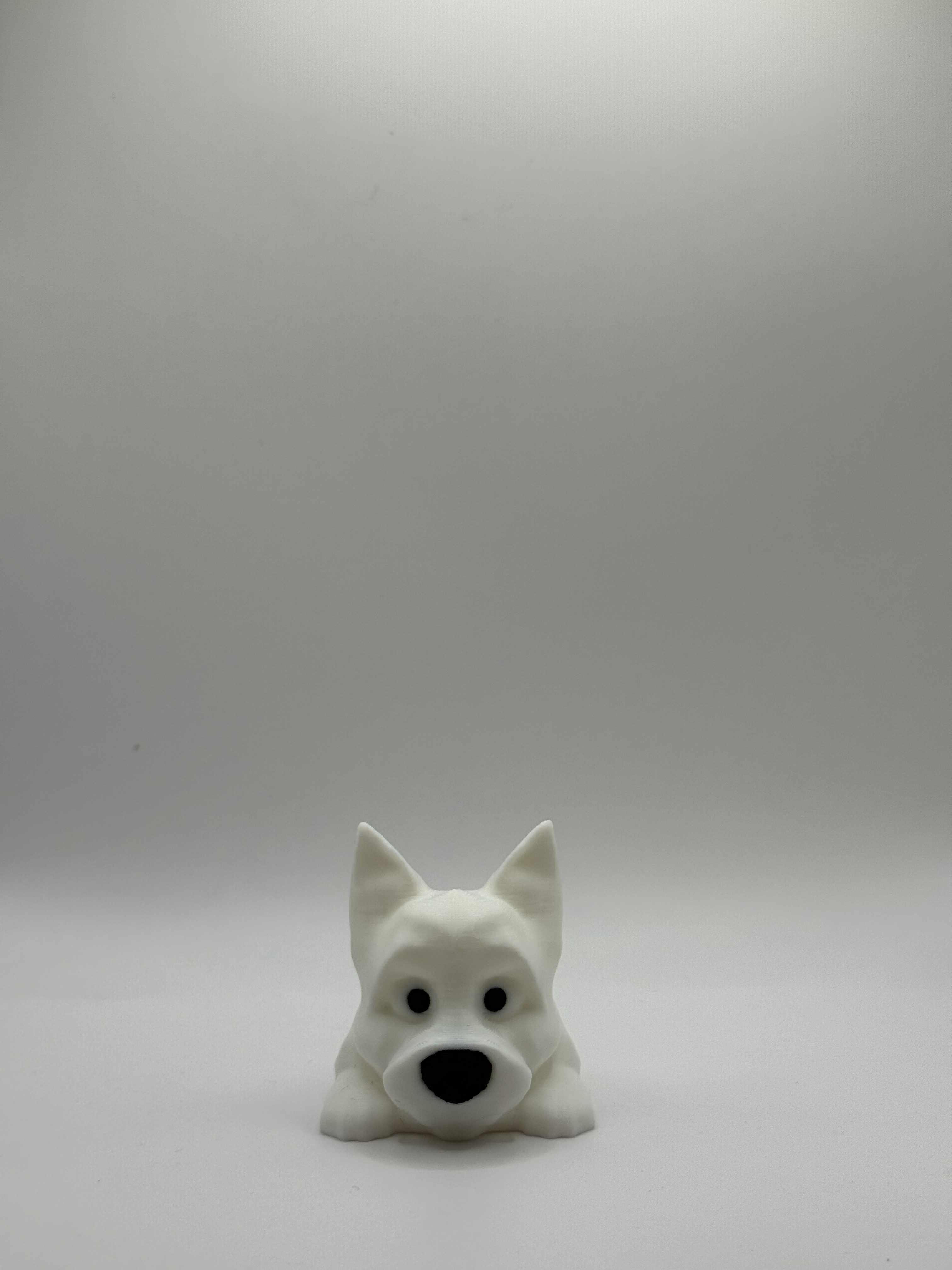 Fleksibel Cairn Terrier