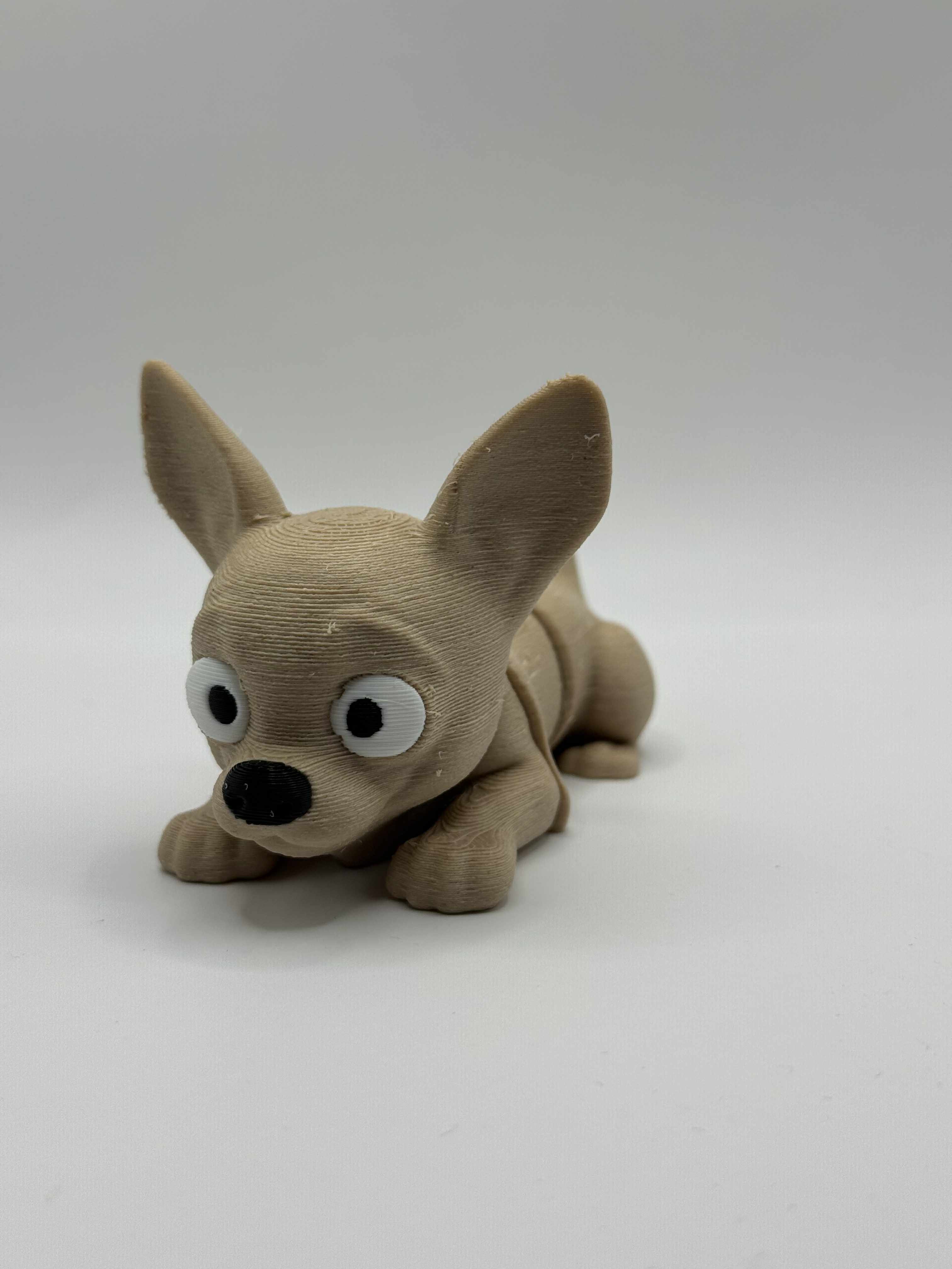 Fleksibel Chihuahua
