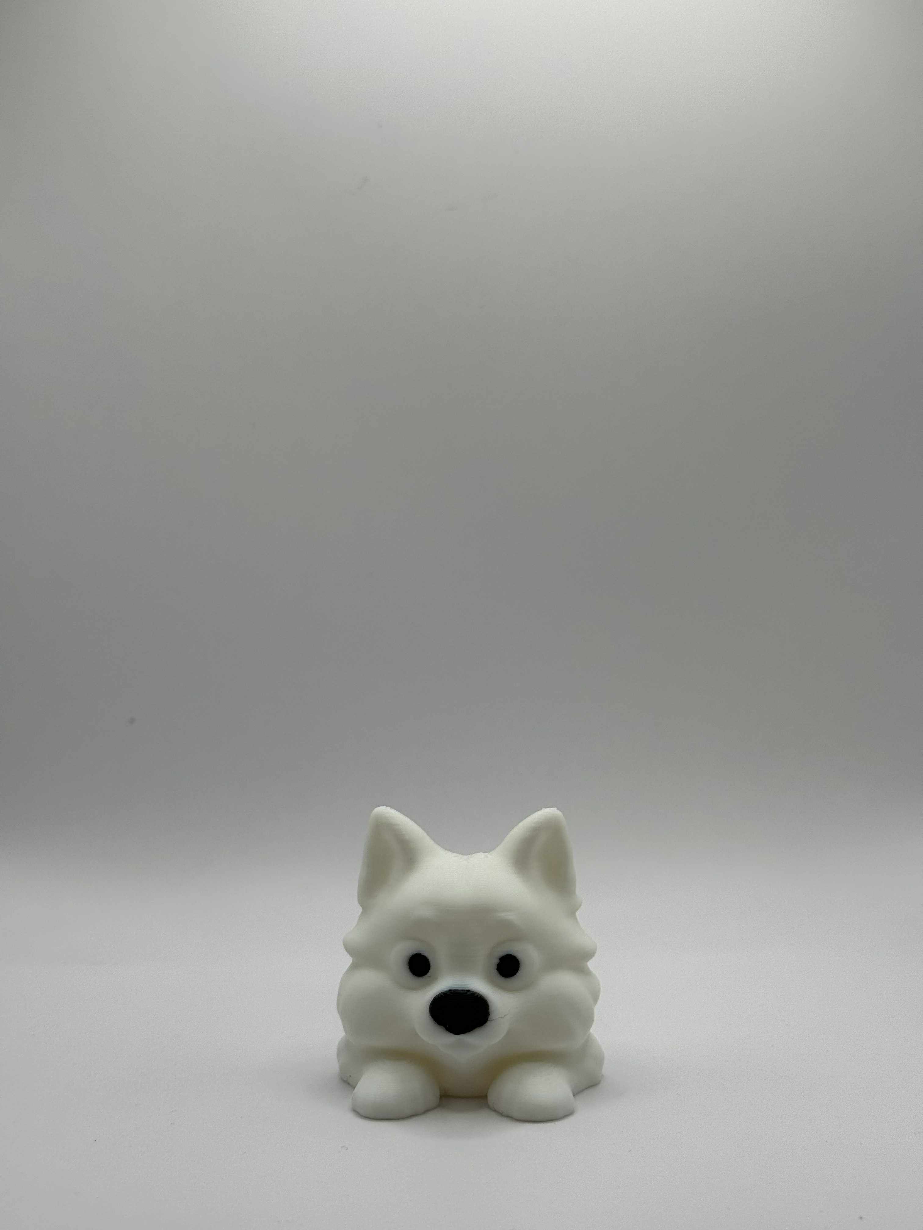 Fleksibel Samojedhund