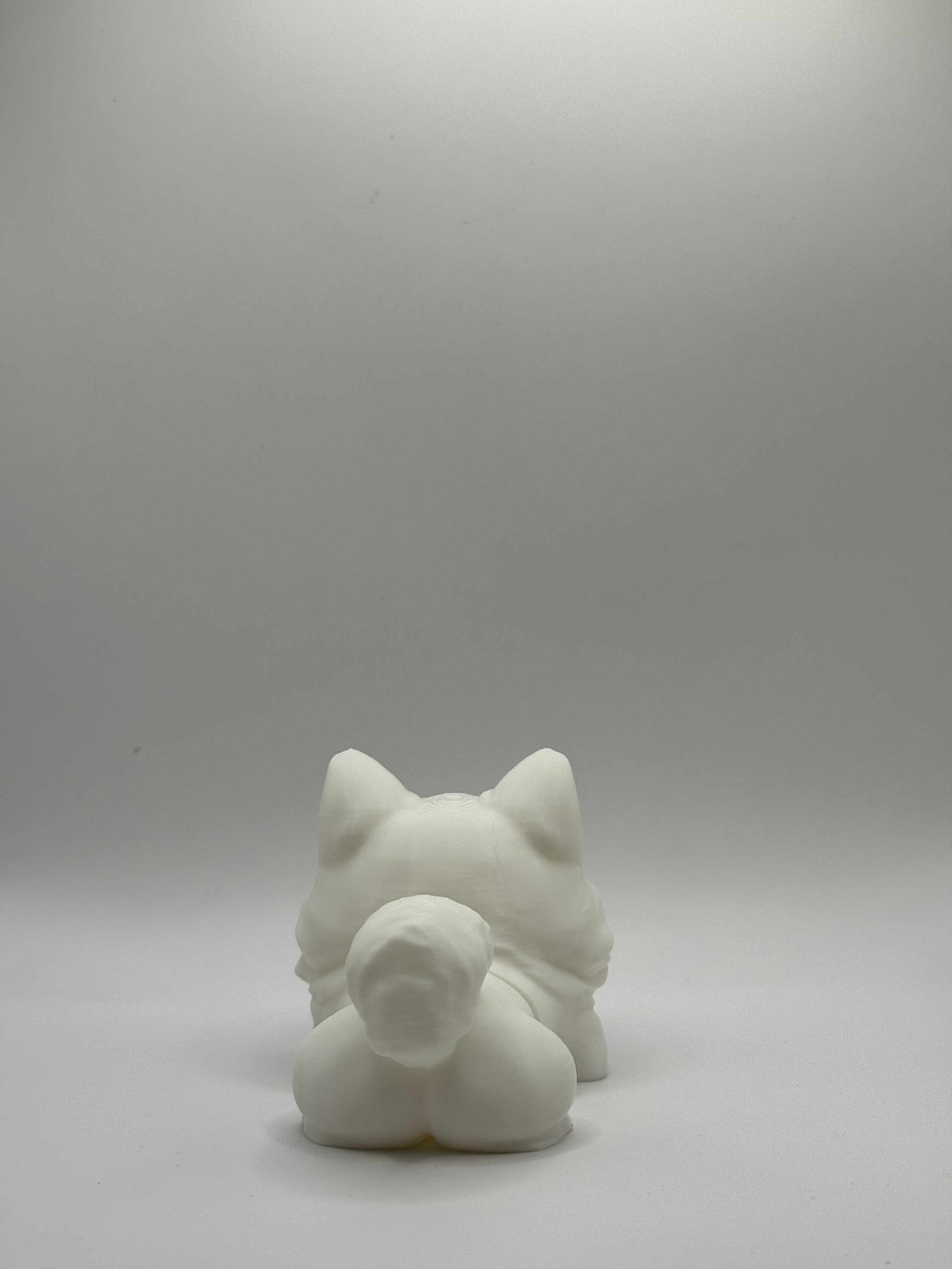 Fleksibel Pomeranian