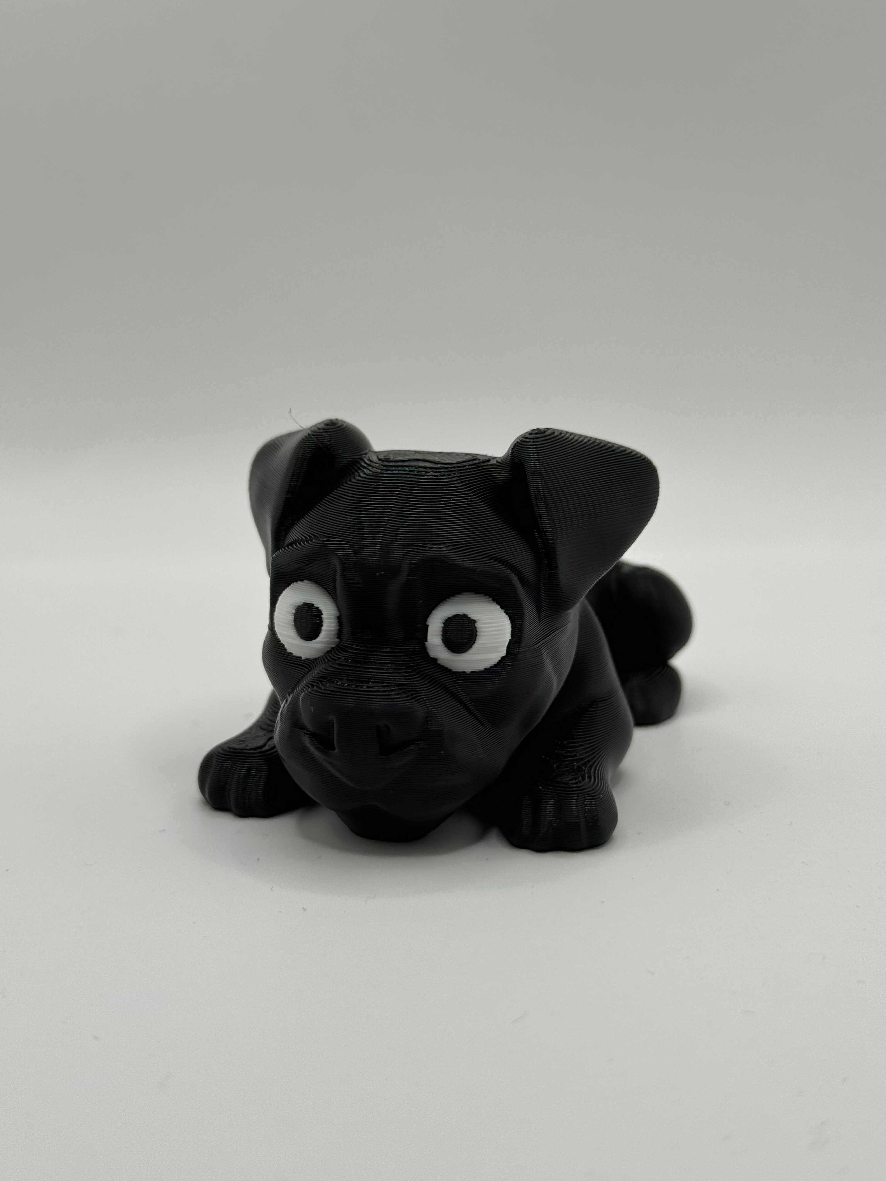 Fleksibel Cane Corso