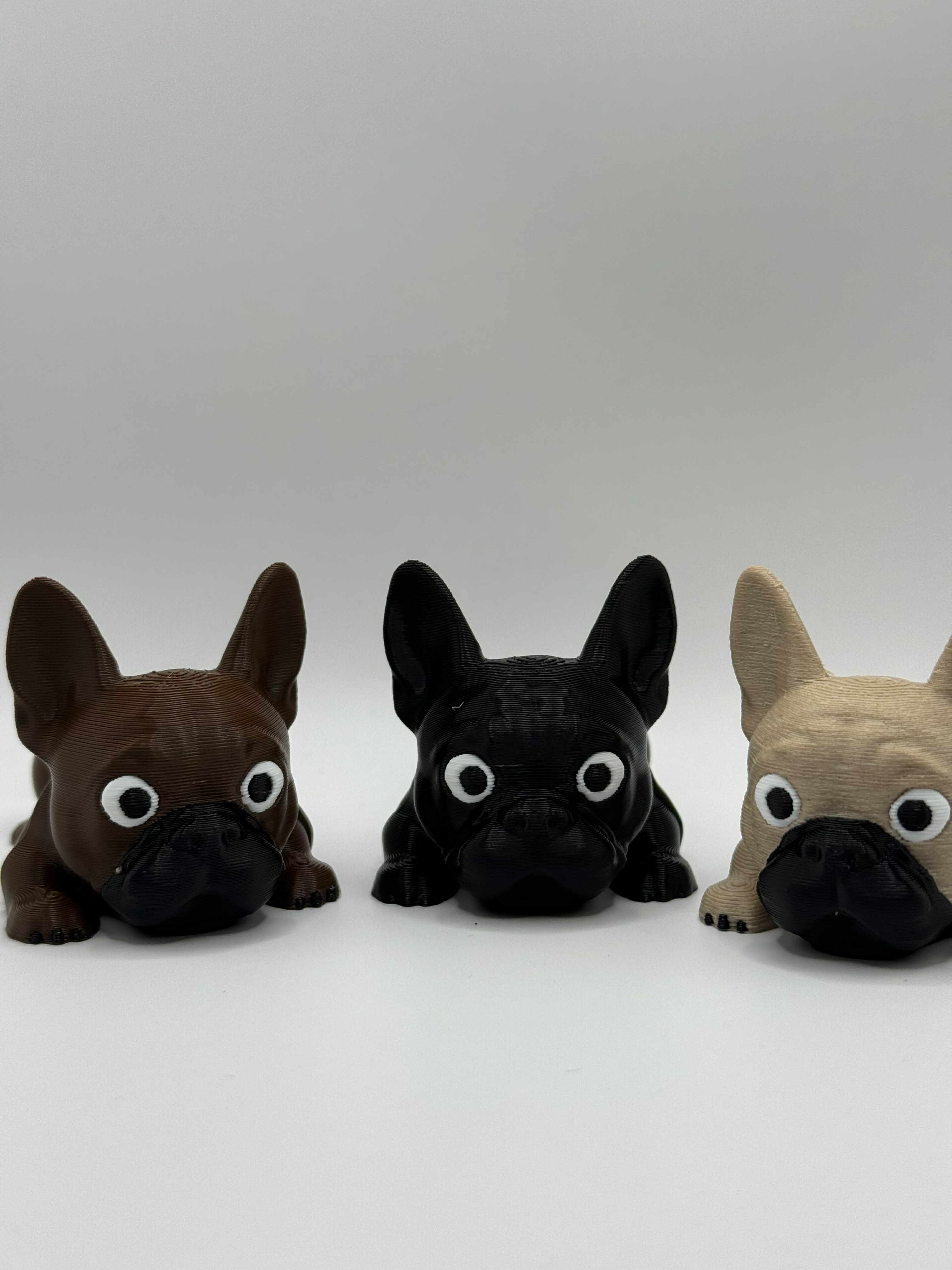 Fleksibel Fransk Bulldog