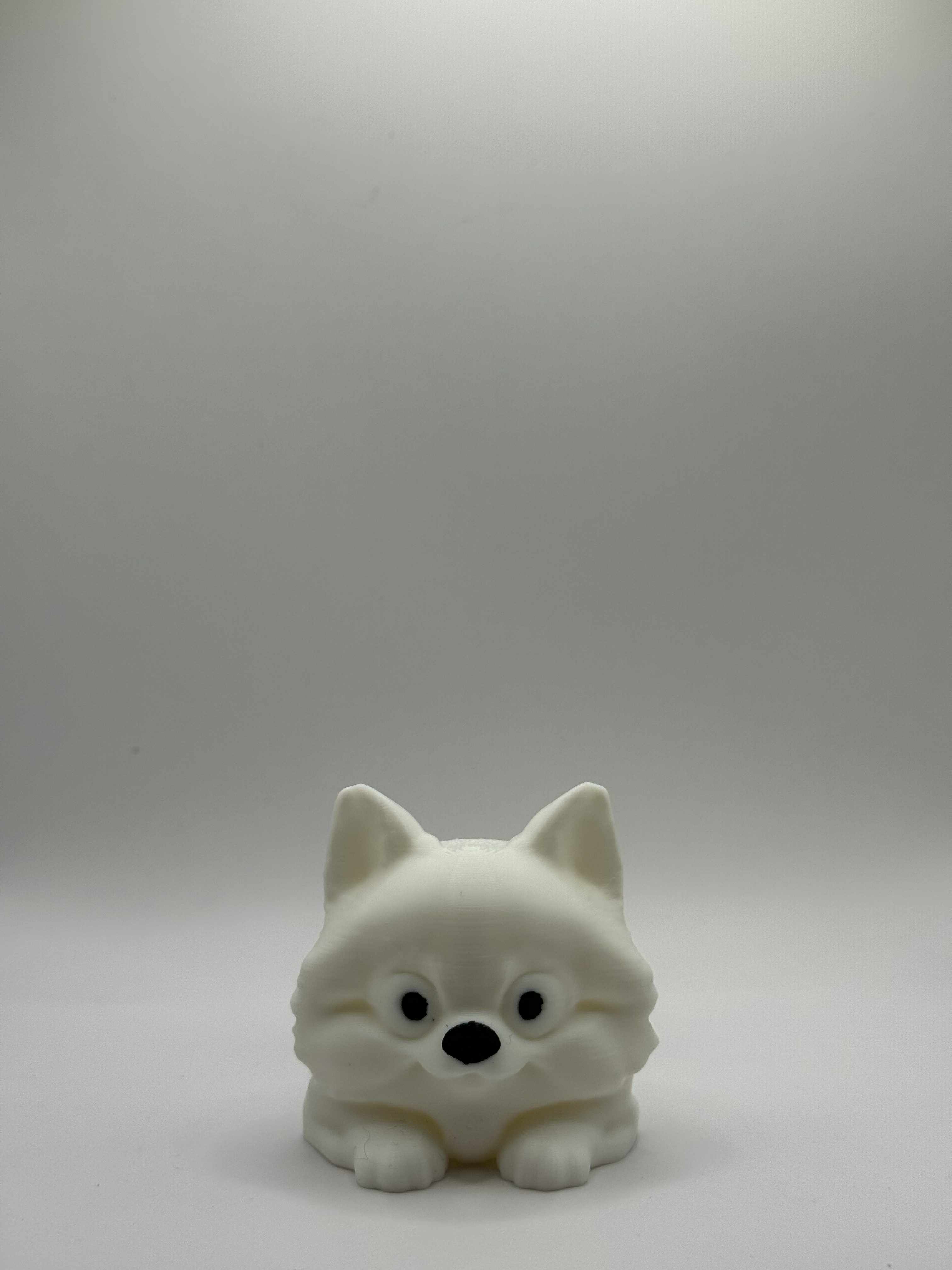 Fleksibel Pomeranian