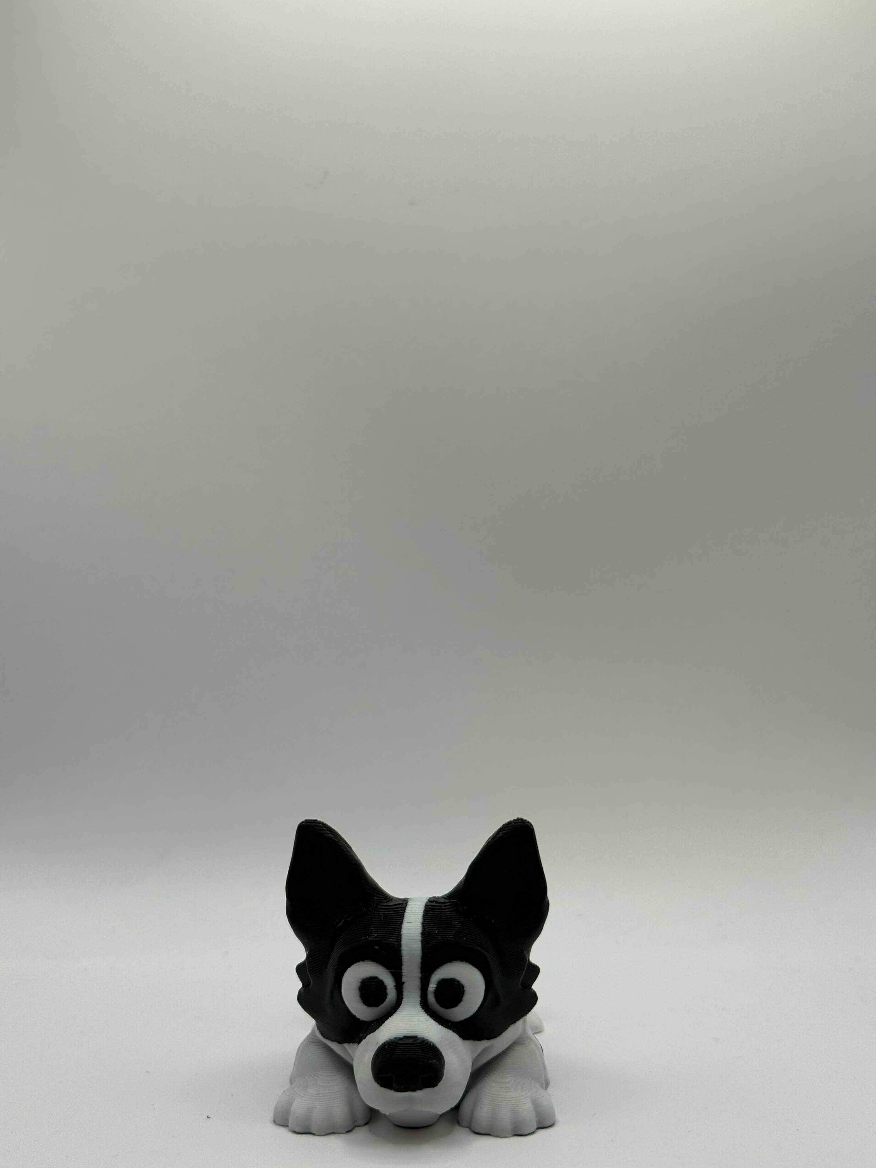 Fleksibel Border collie