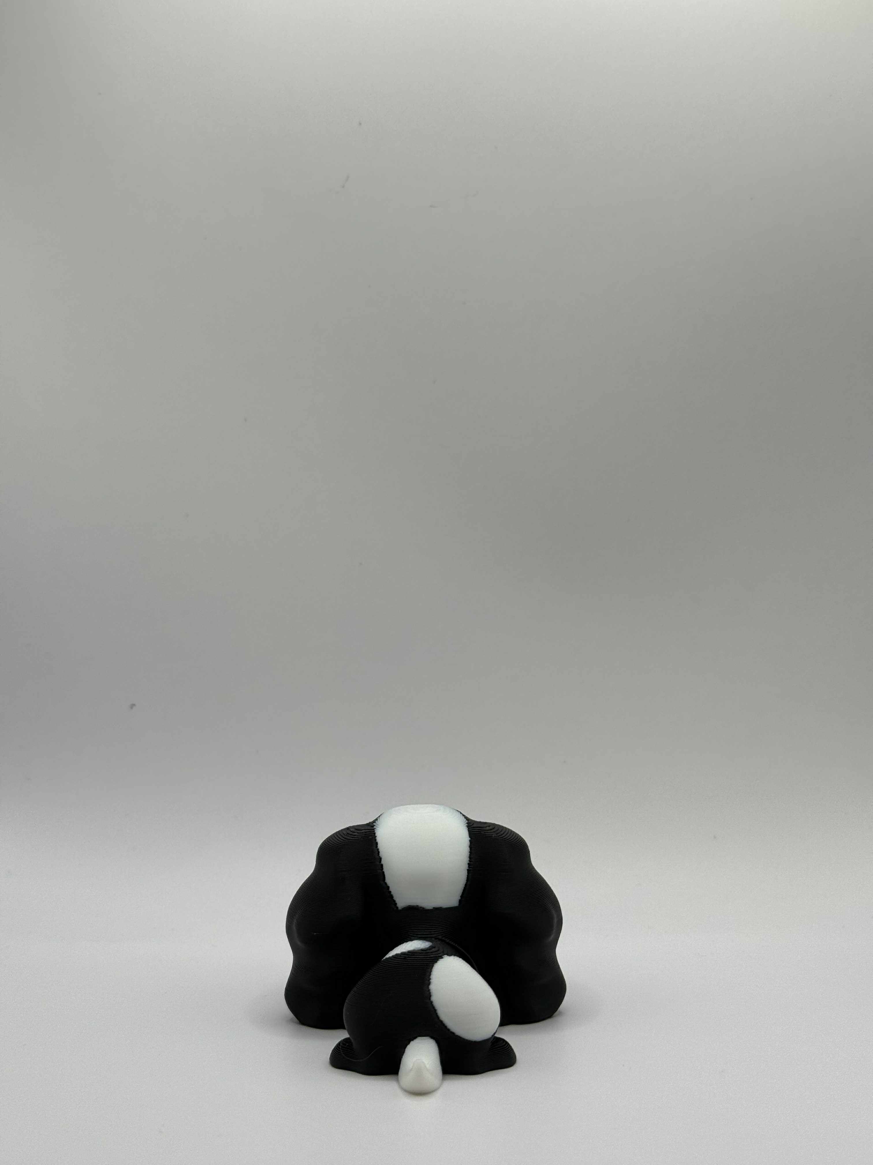 Fleksibel Cavalier King Charles Spaniel