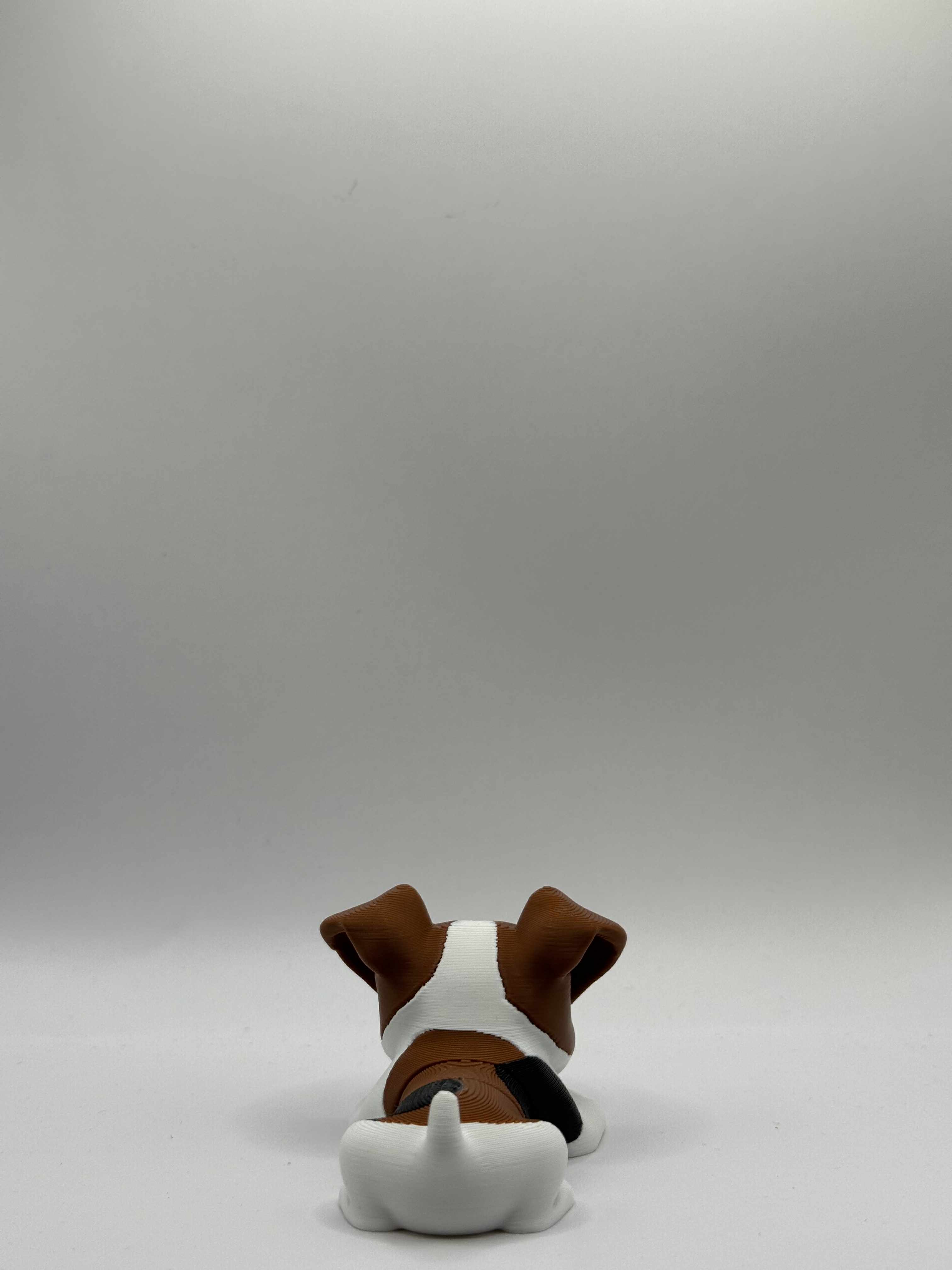 Fleksibel Jack Russell Terrier