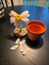 Daisy Date