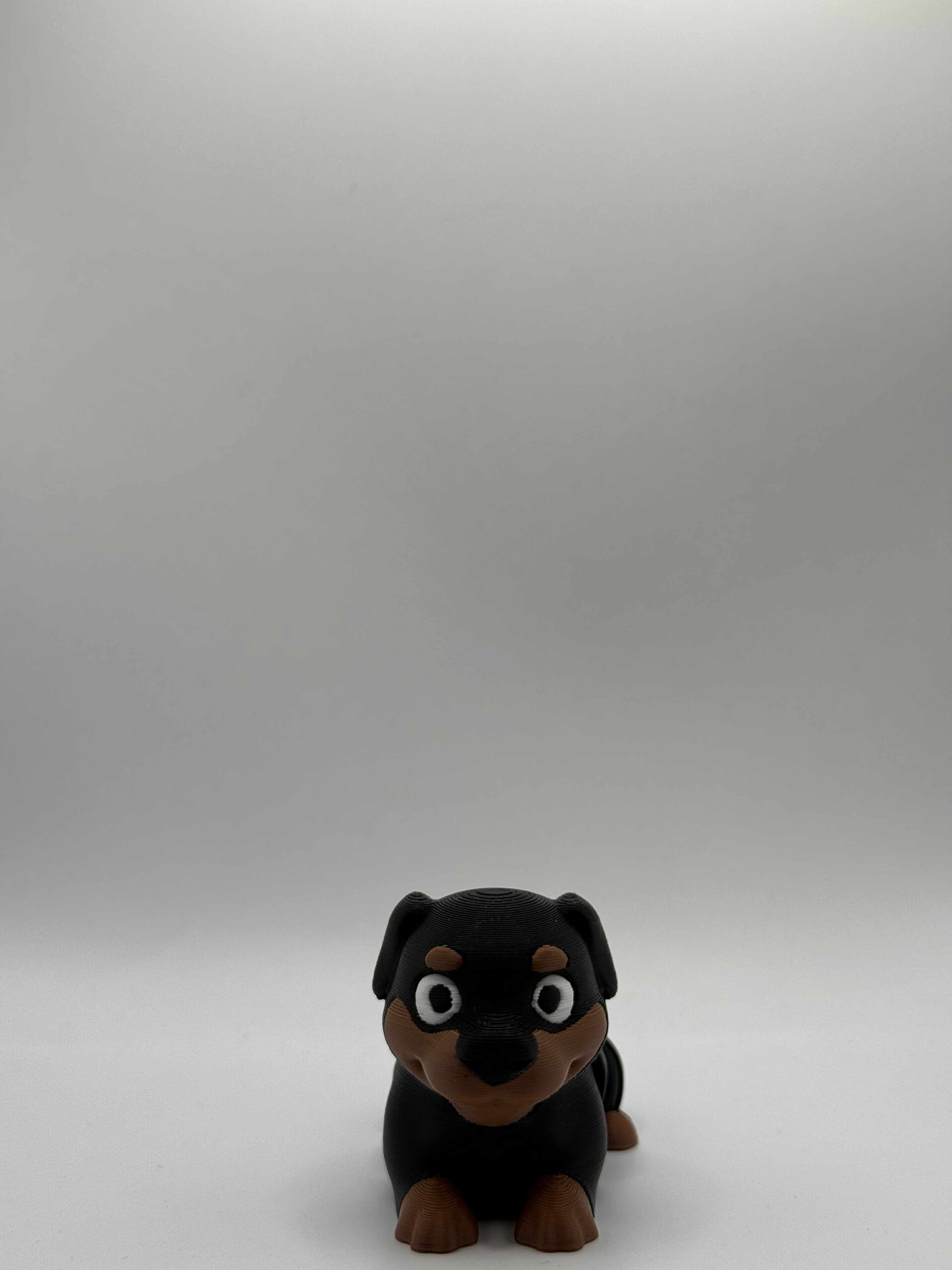 Fleksibel Rottweiler