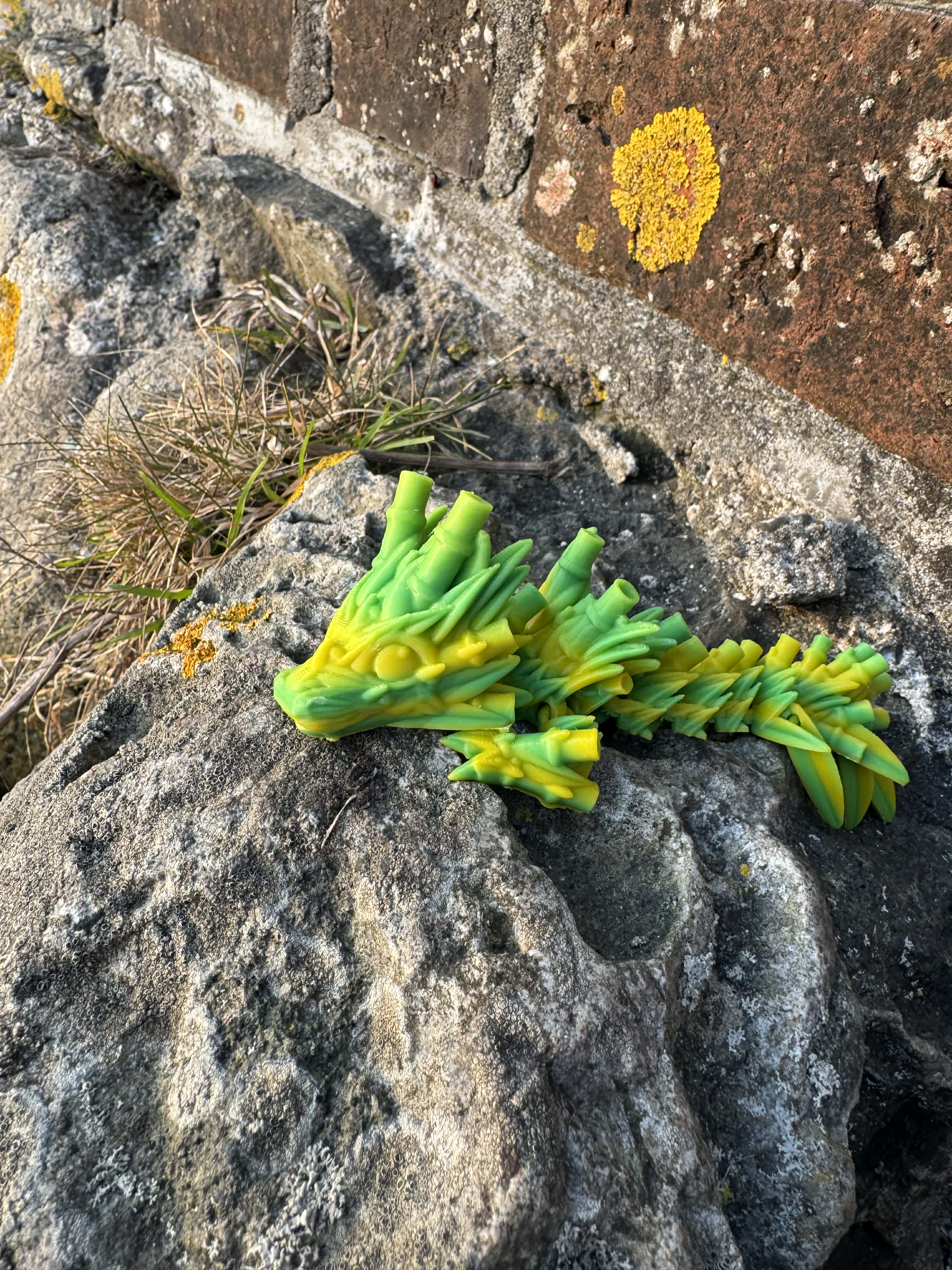 Lille bambus drage, i grønne nuancer