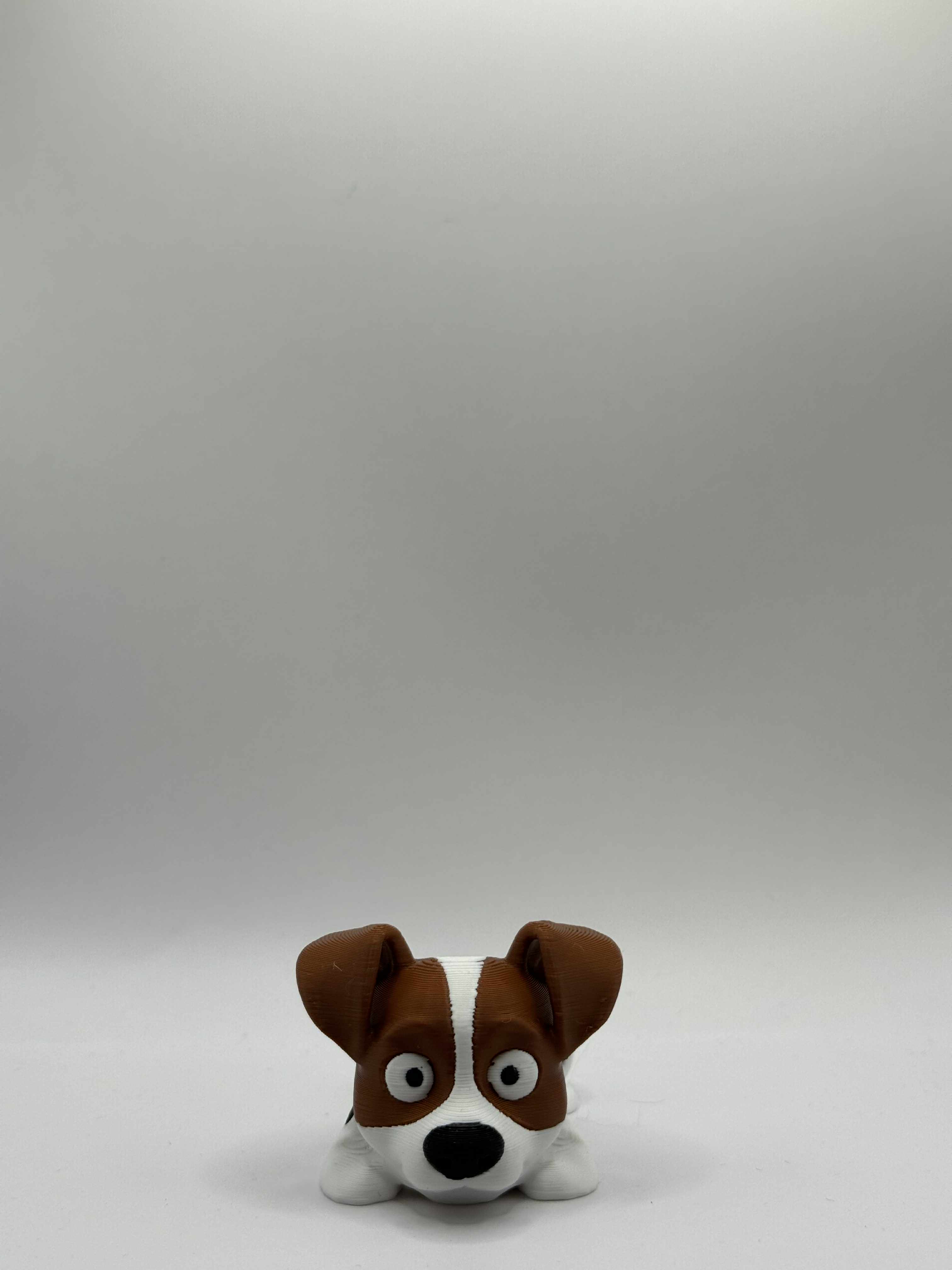 Fleksibel Jack Russell Terrier