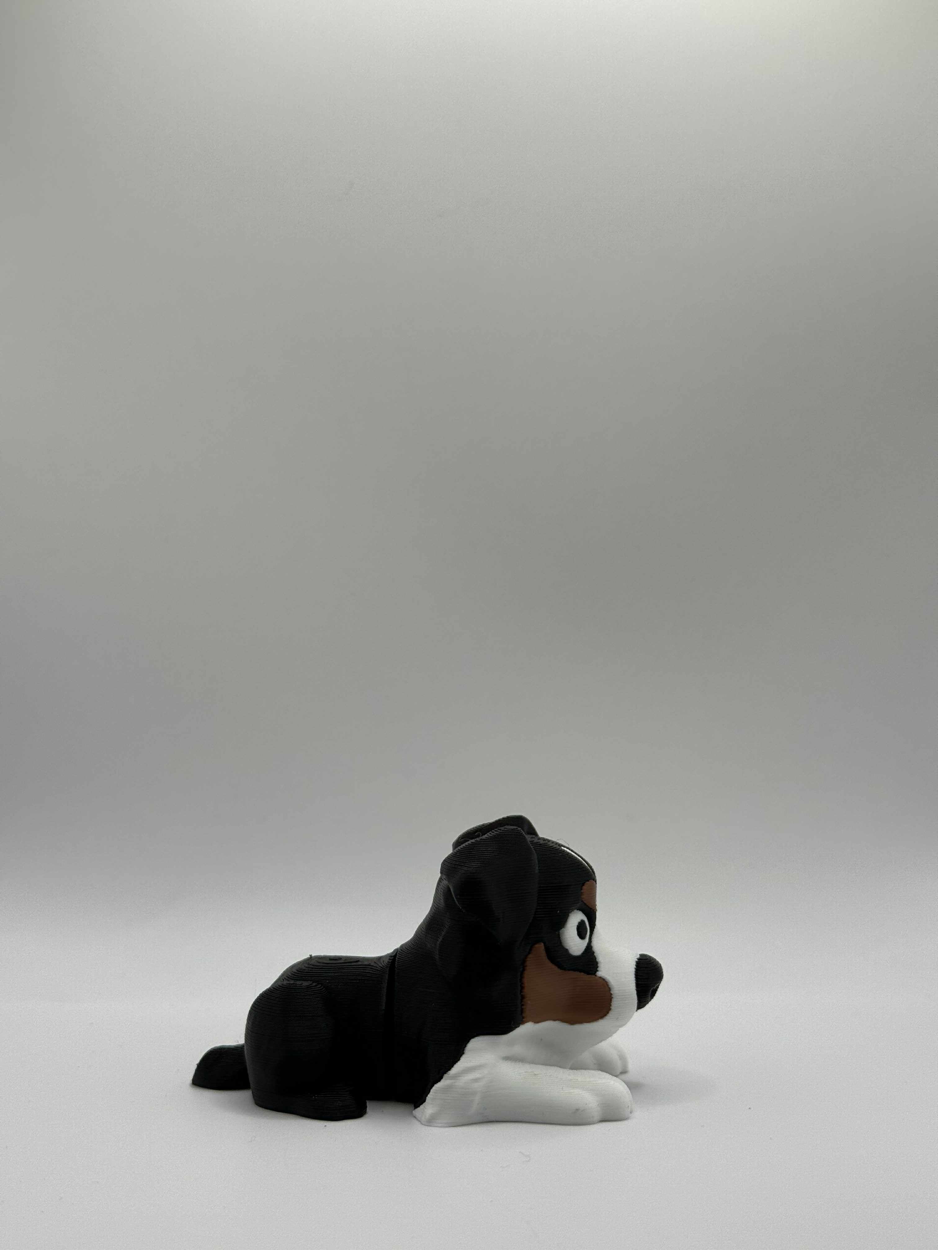 Fleksibel Australian Shepherd