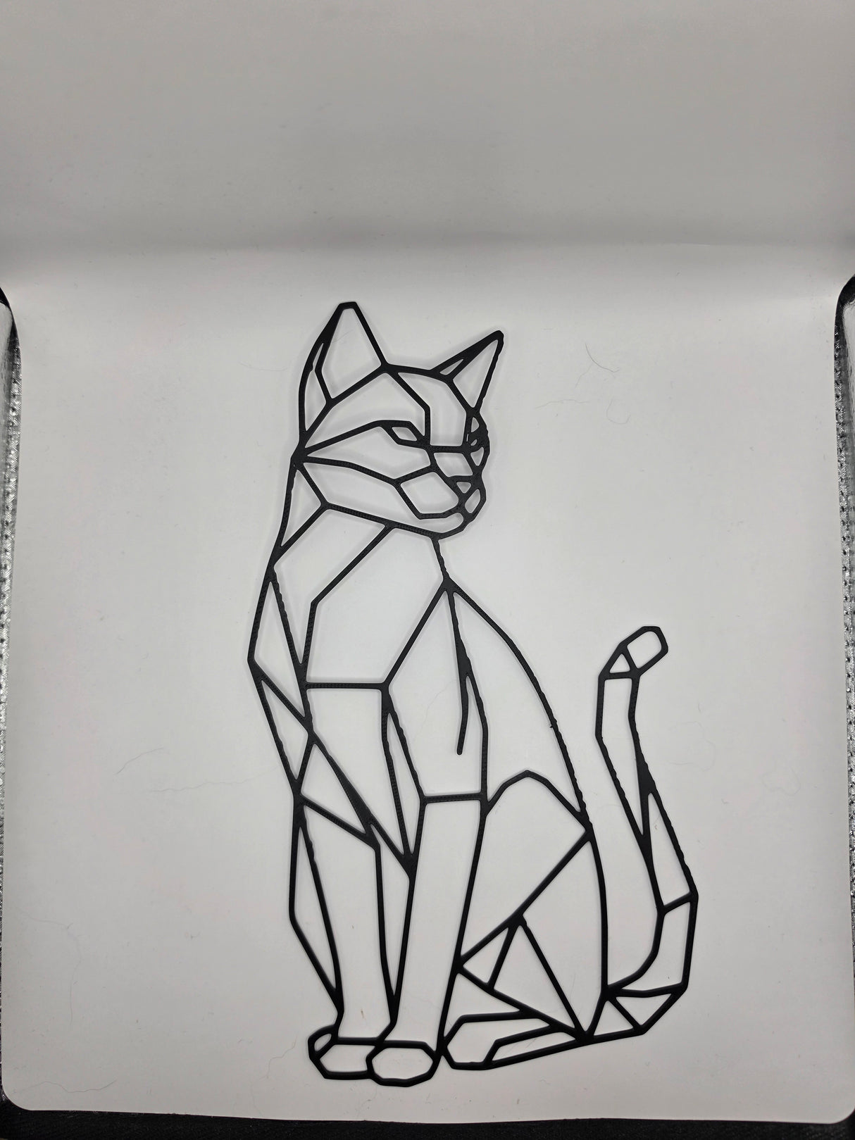 Wall art, kat
