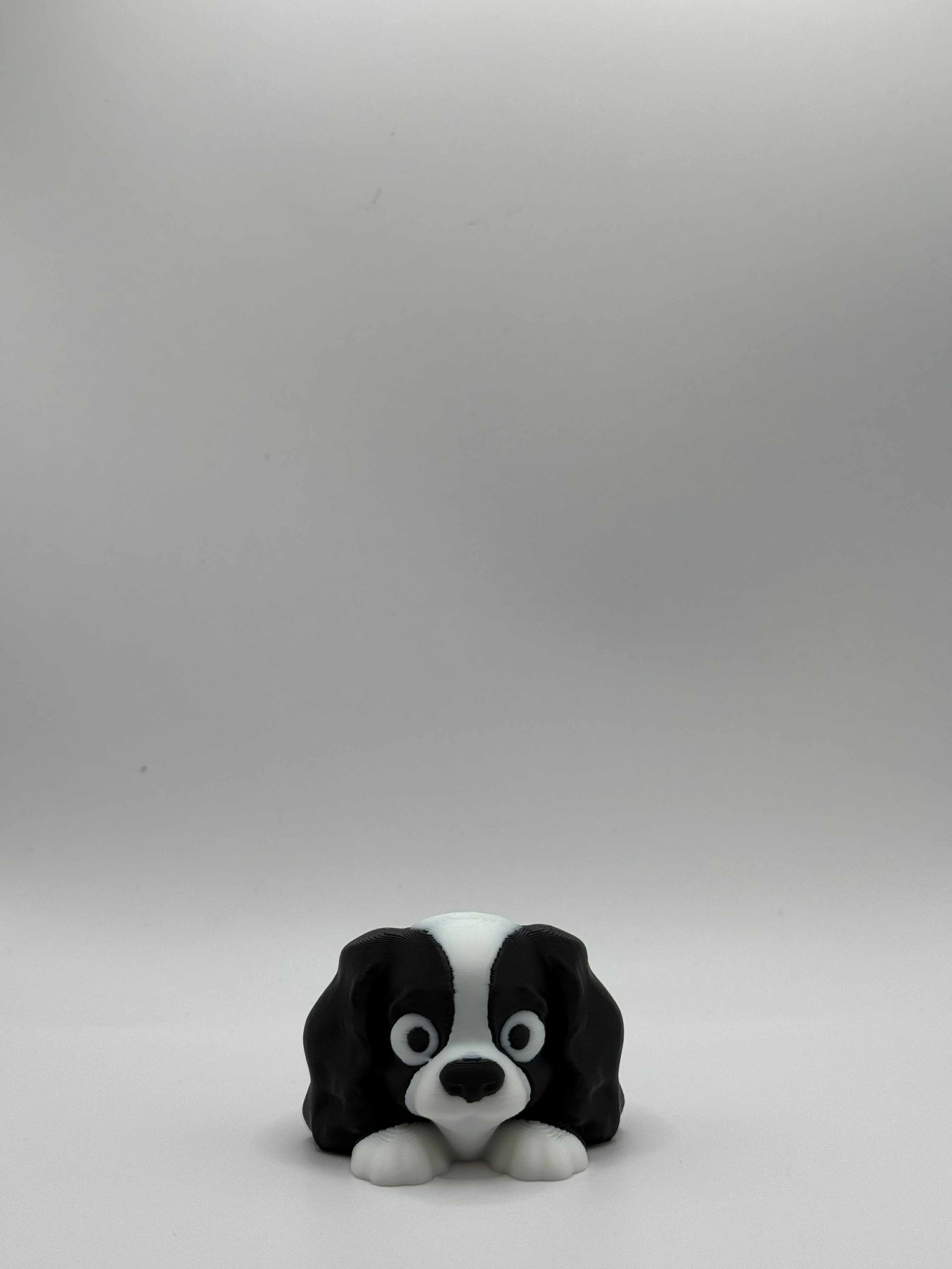 Fleksibel Cavalier King Charles Spaniel