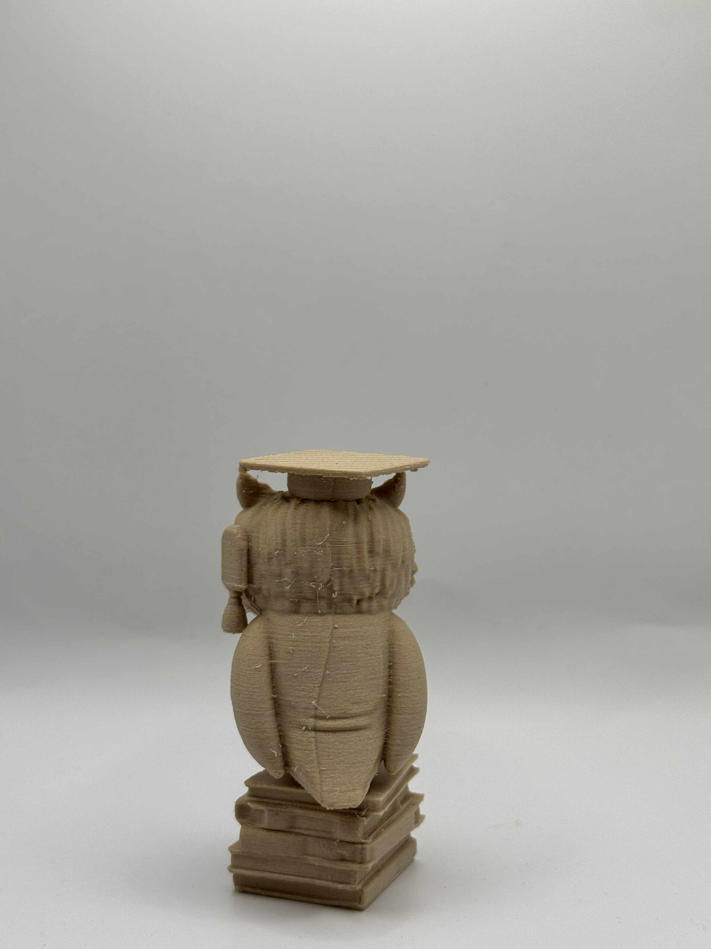 Ugle som er dimittend