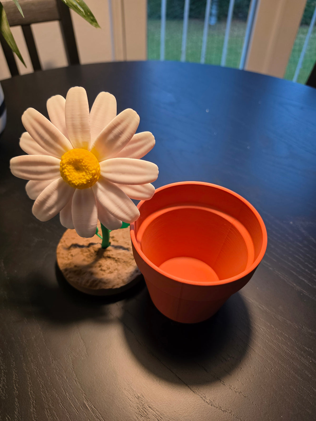 Daisy Date