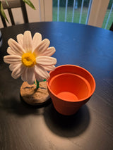 Daisy Date