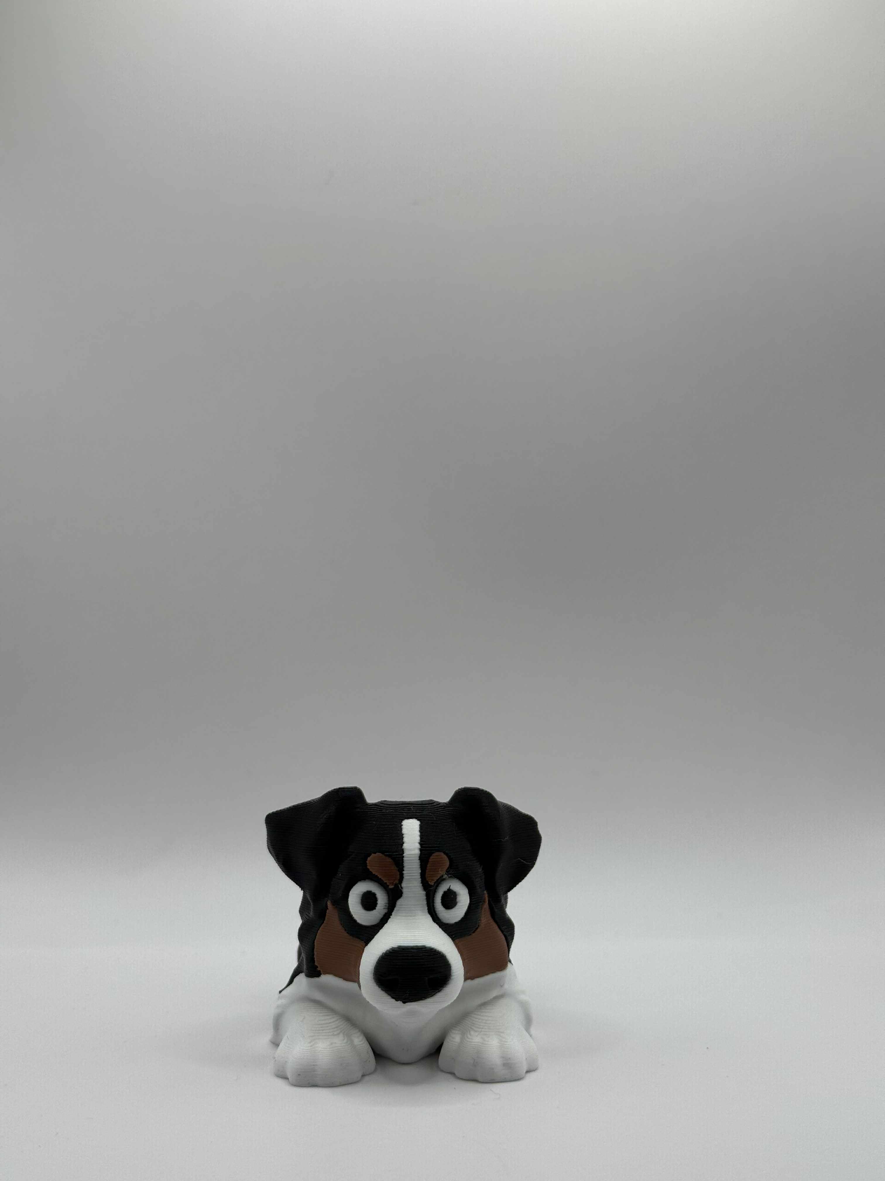 Fleksibel Australian Shepherd