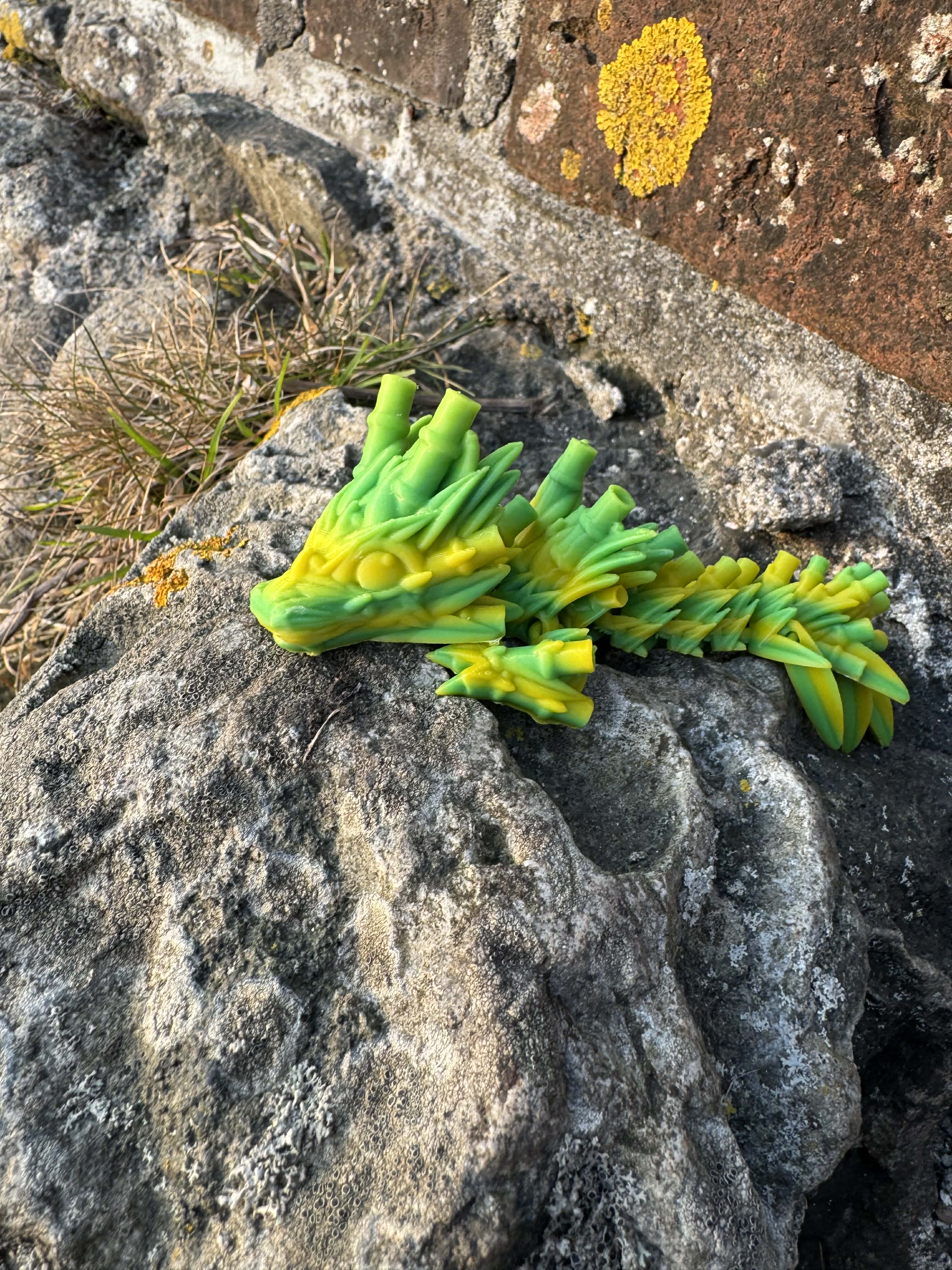 Lille bambus drage, i grønne nuancer
