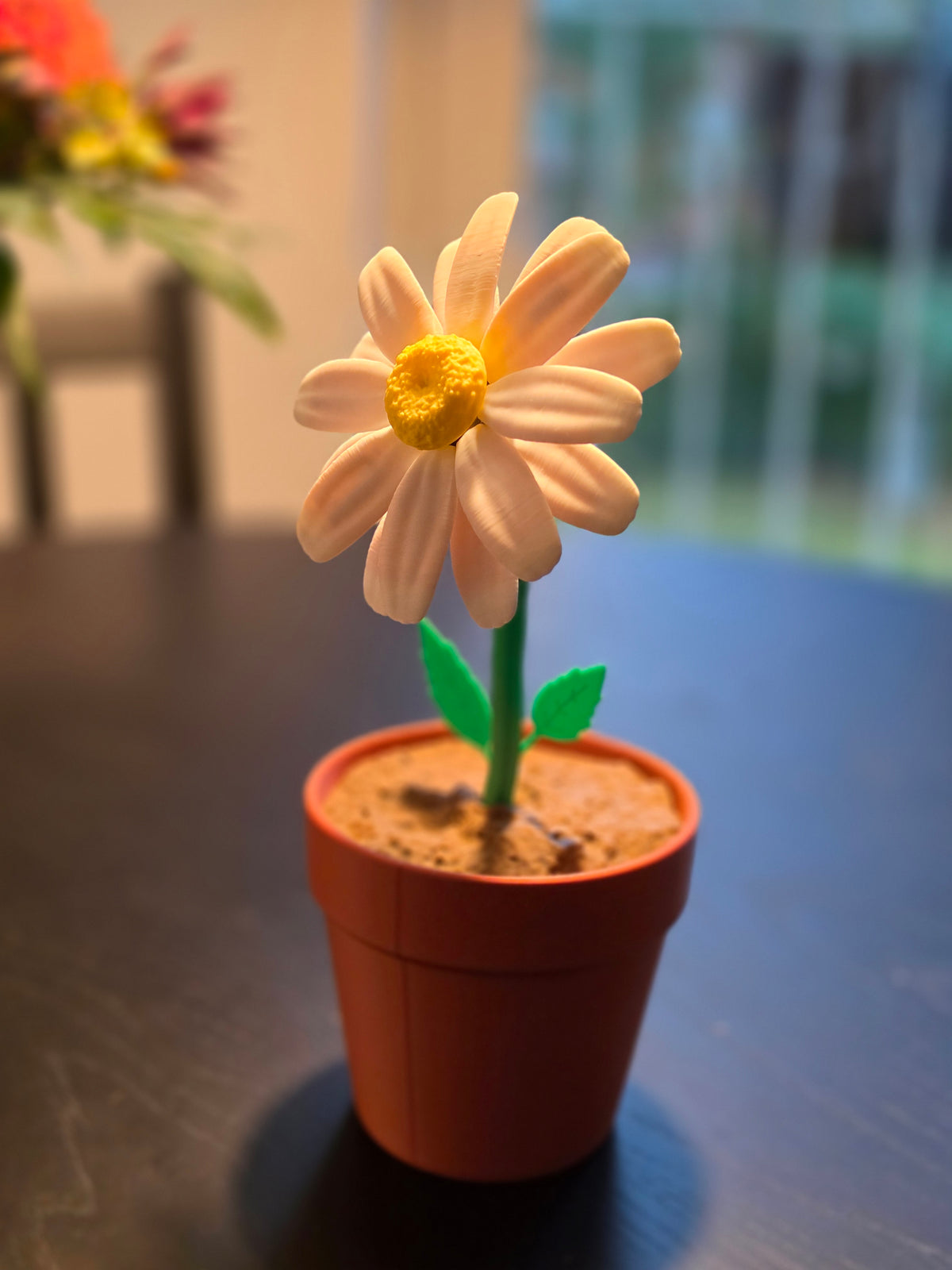 Daisy Date