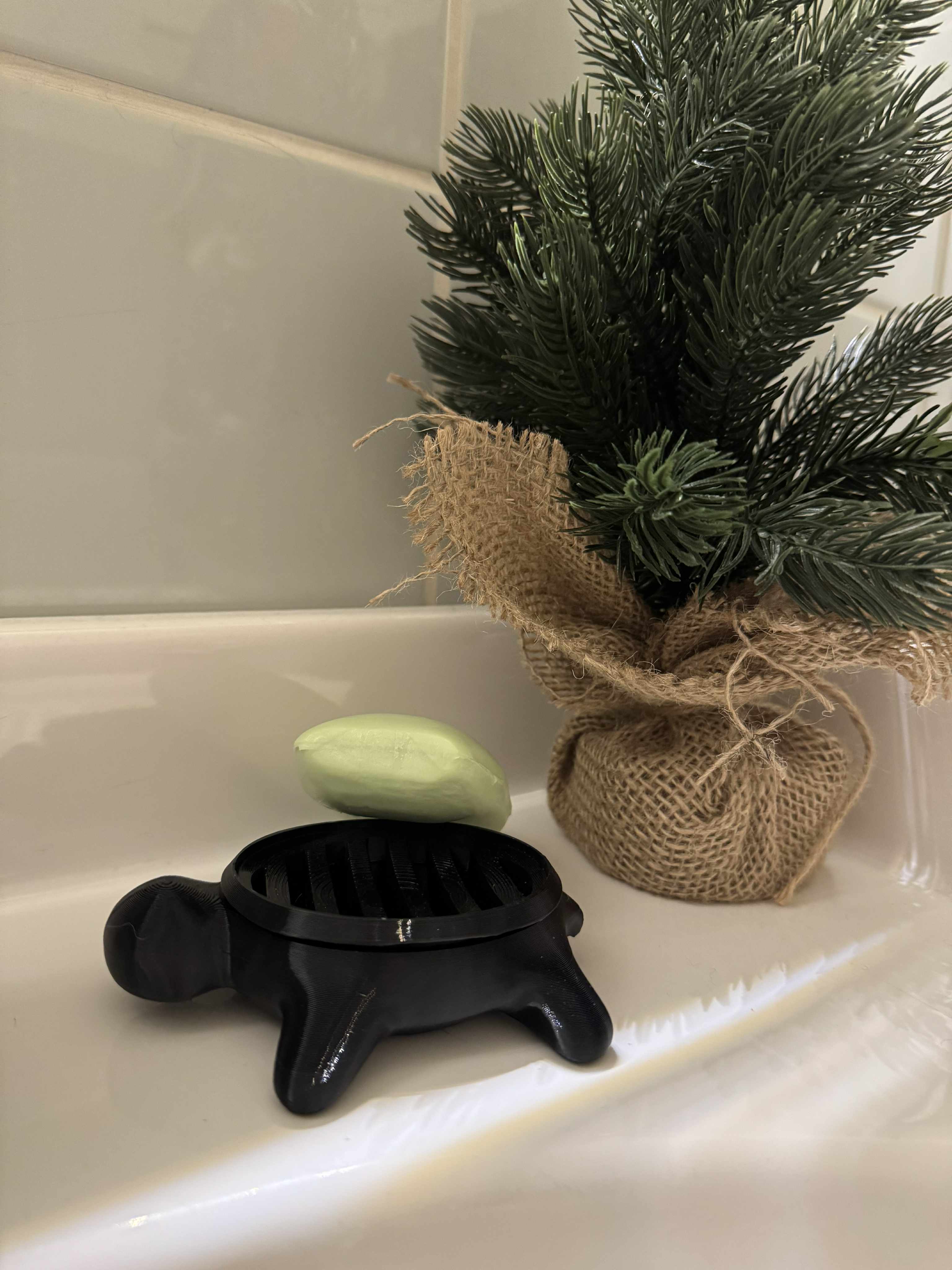 Sæbe holder formet som en skildpadde