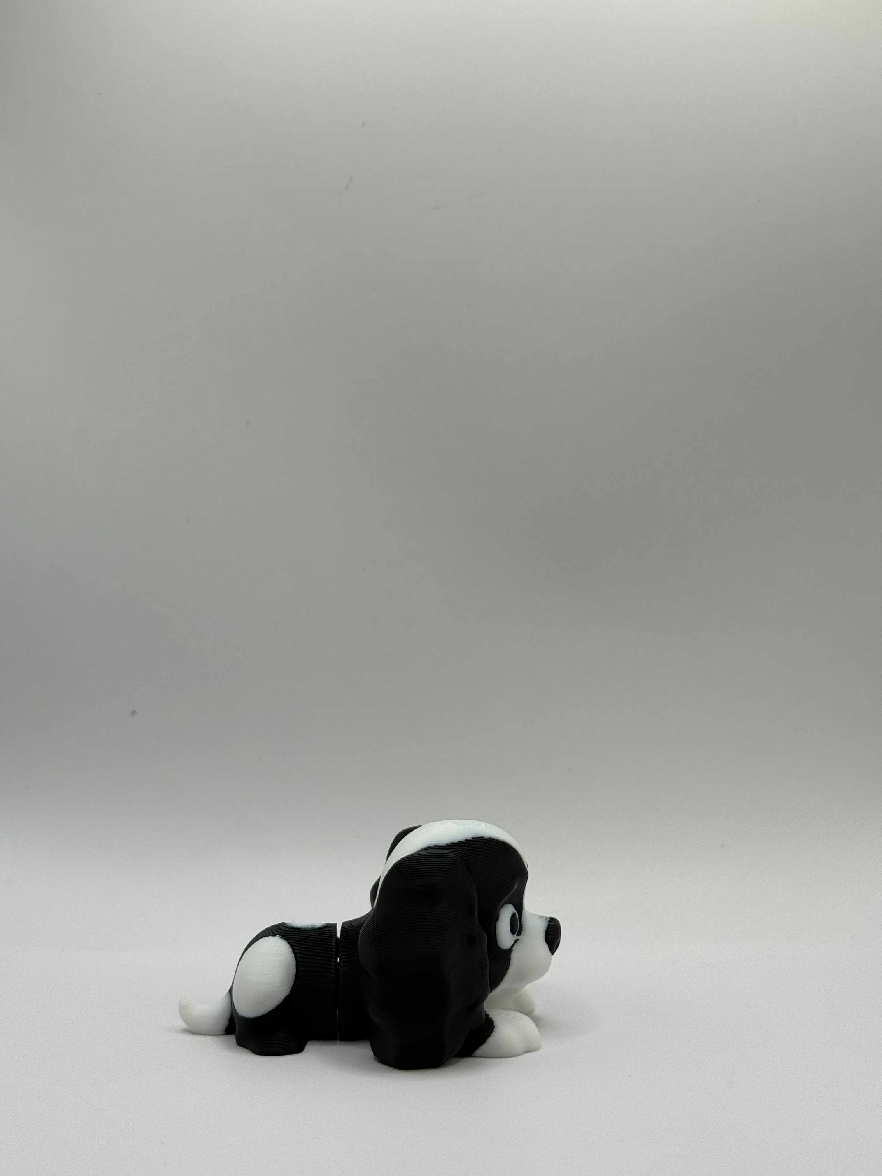 Fleksibel Cavalier King Charles Spaniel