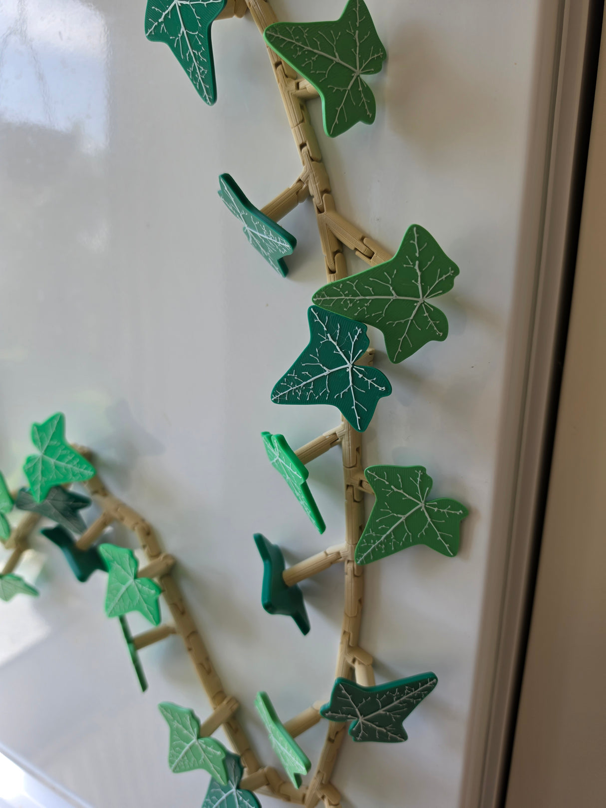 Botanisk Magnetkrans