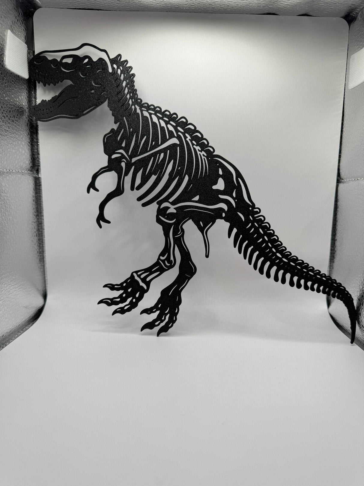Wall art, t-rax